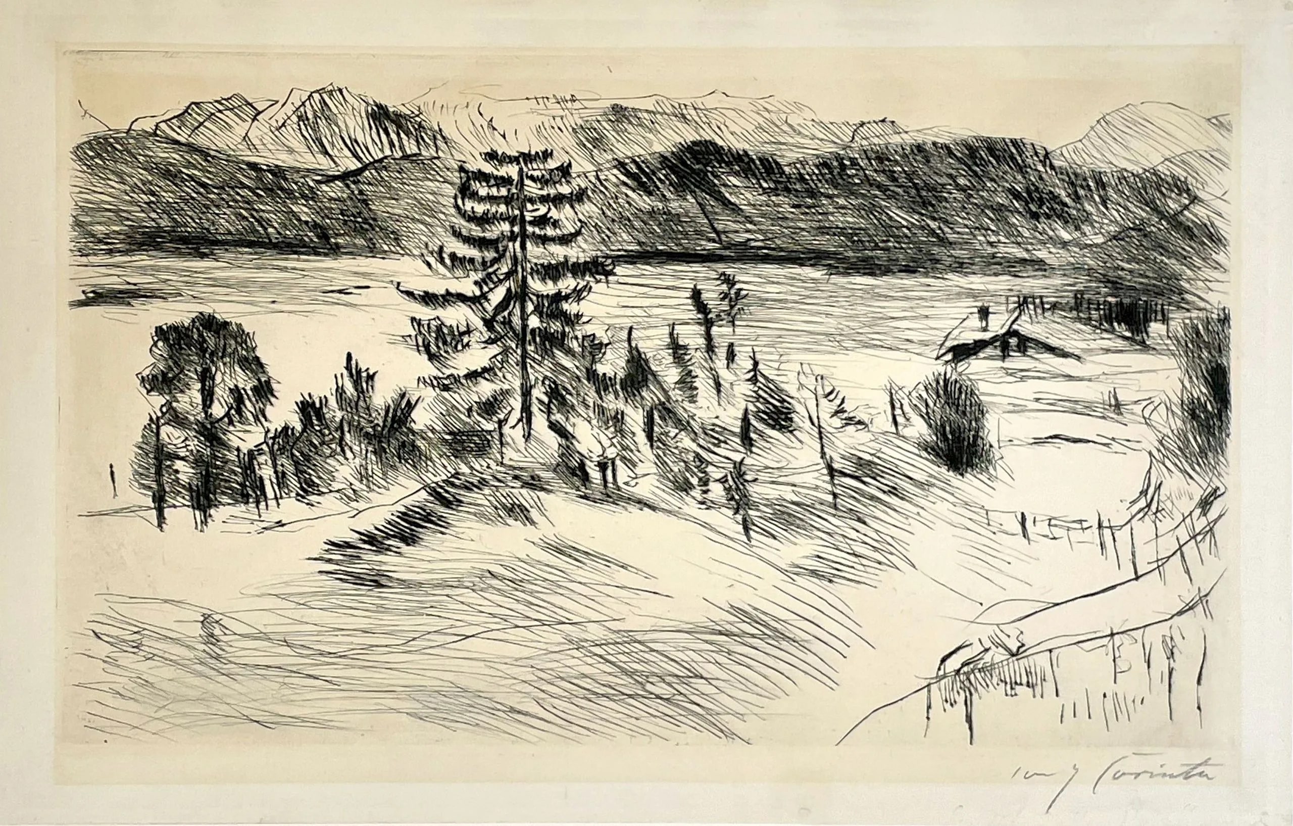 Large Walchensee Landscape