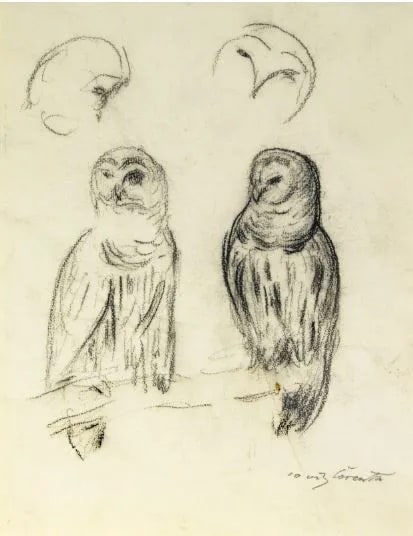 Study of Owls
