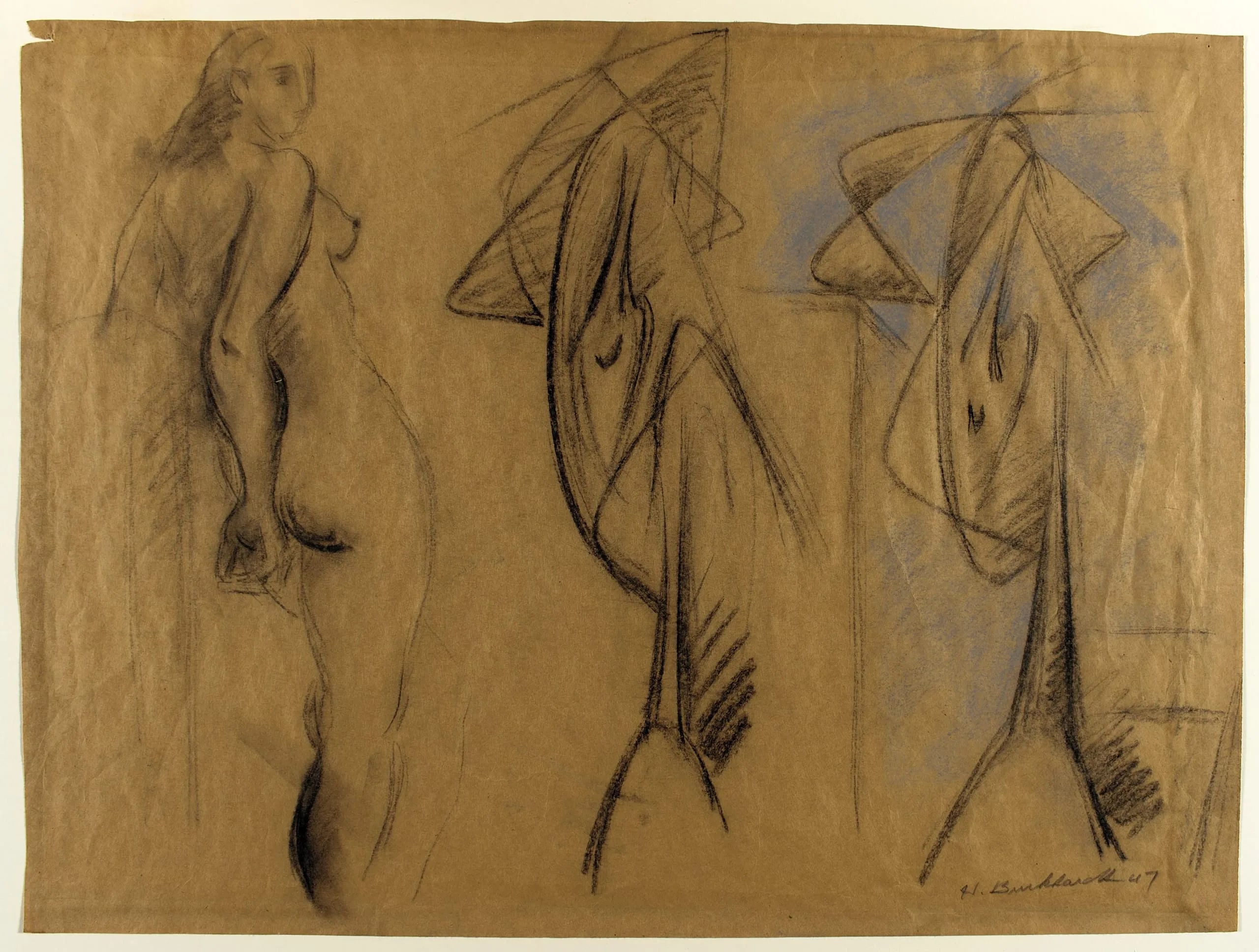 Studies of a Nude