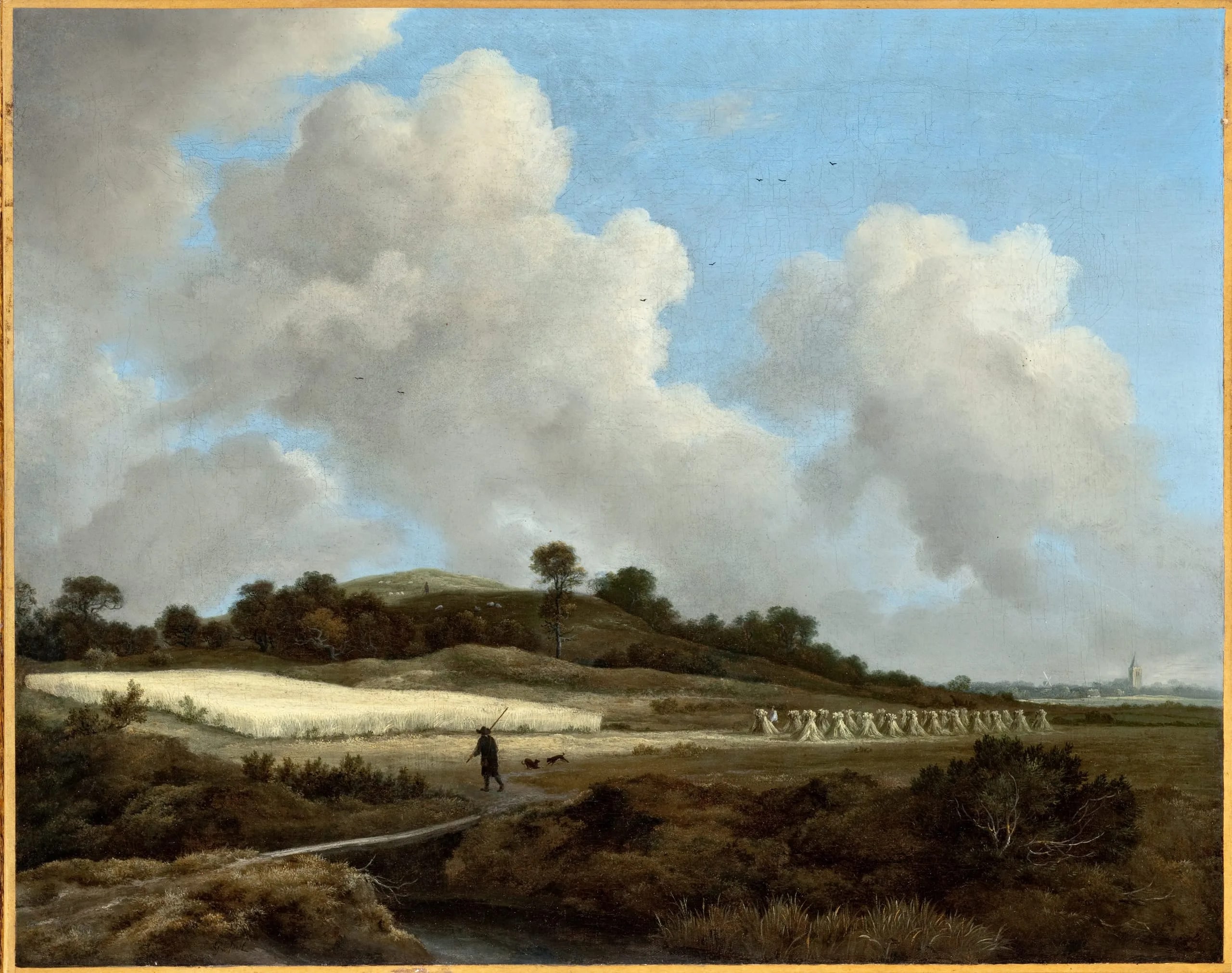 View of Grainfields with a Distant Town