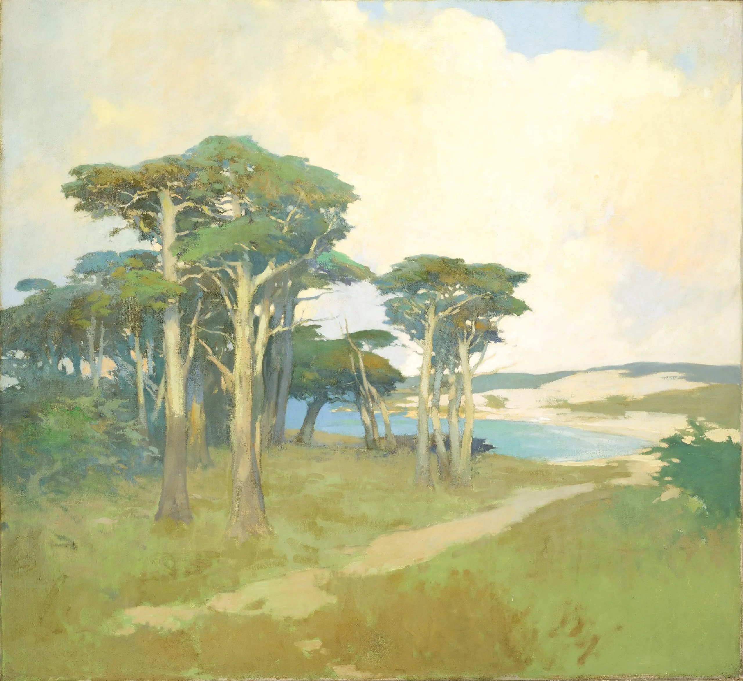 Monterey Cypress, California