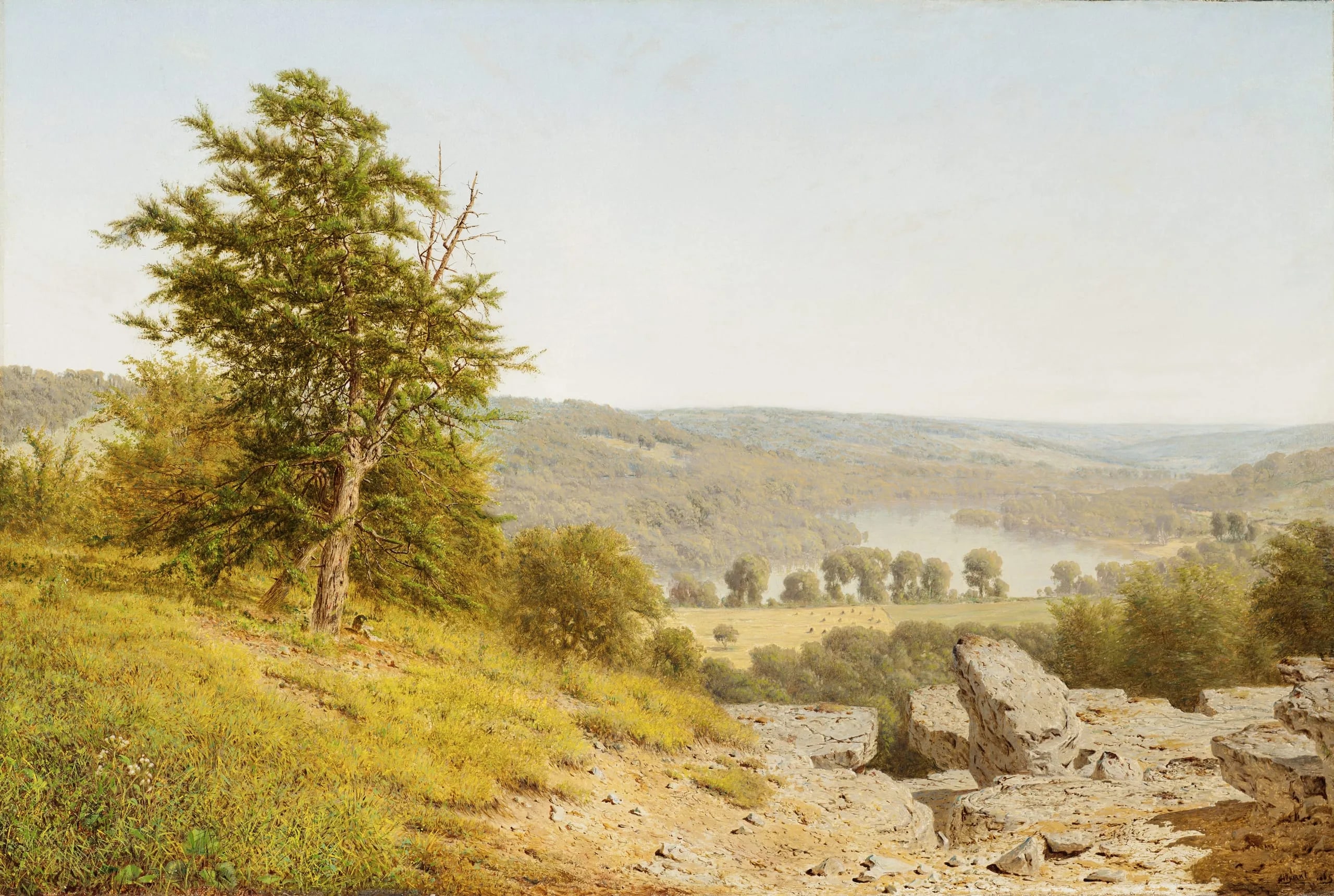 Landscape