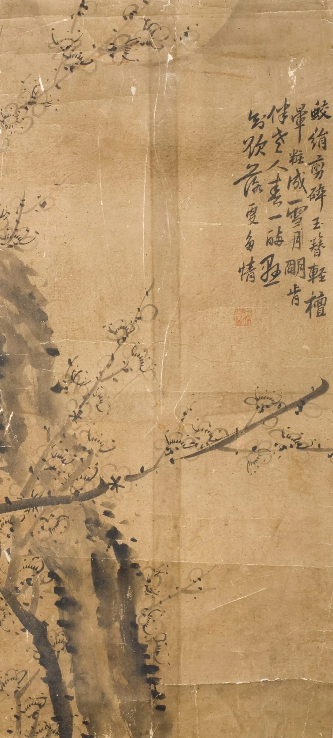 Plum Blossoms