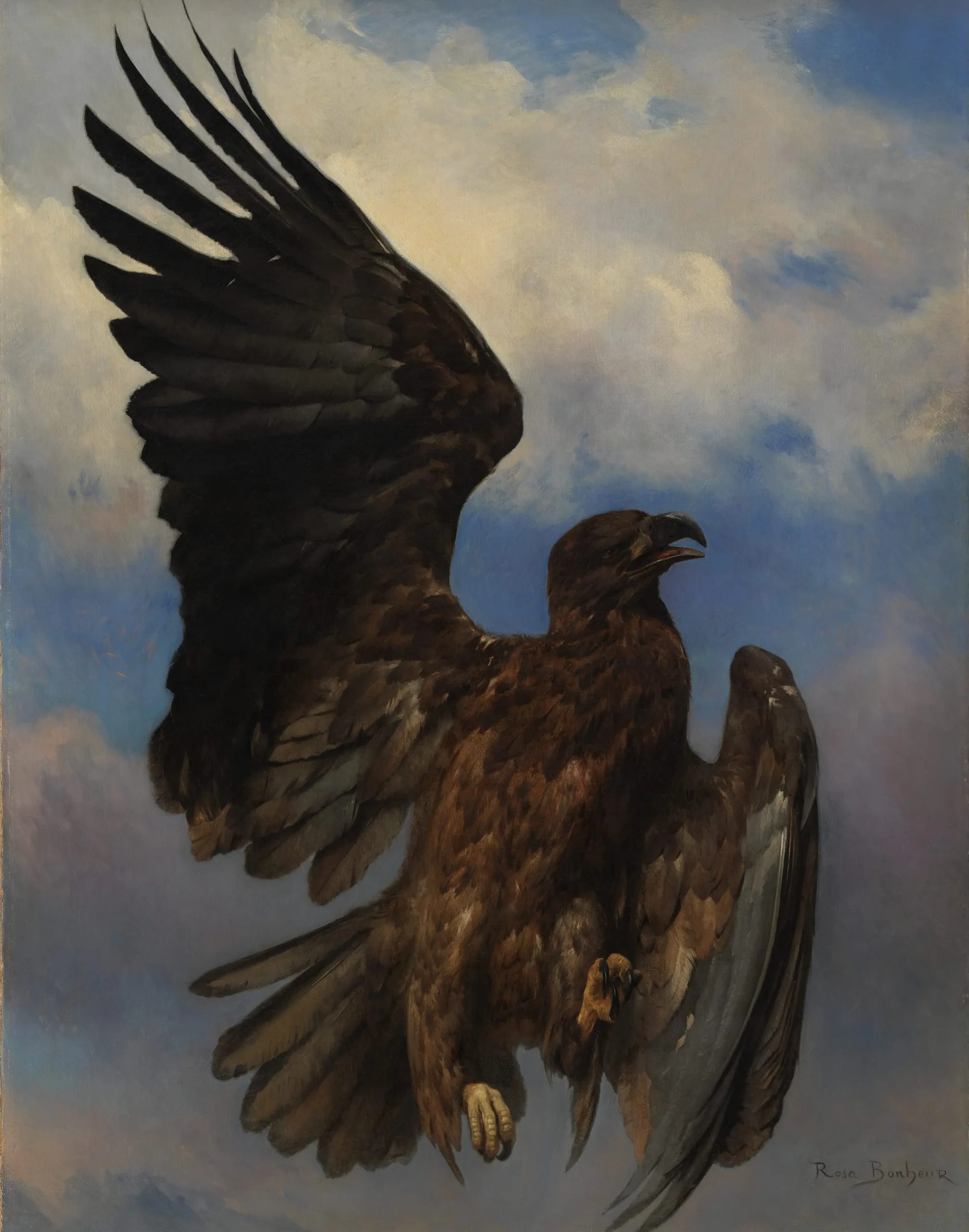 The Wounded Eagle
