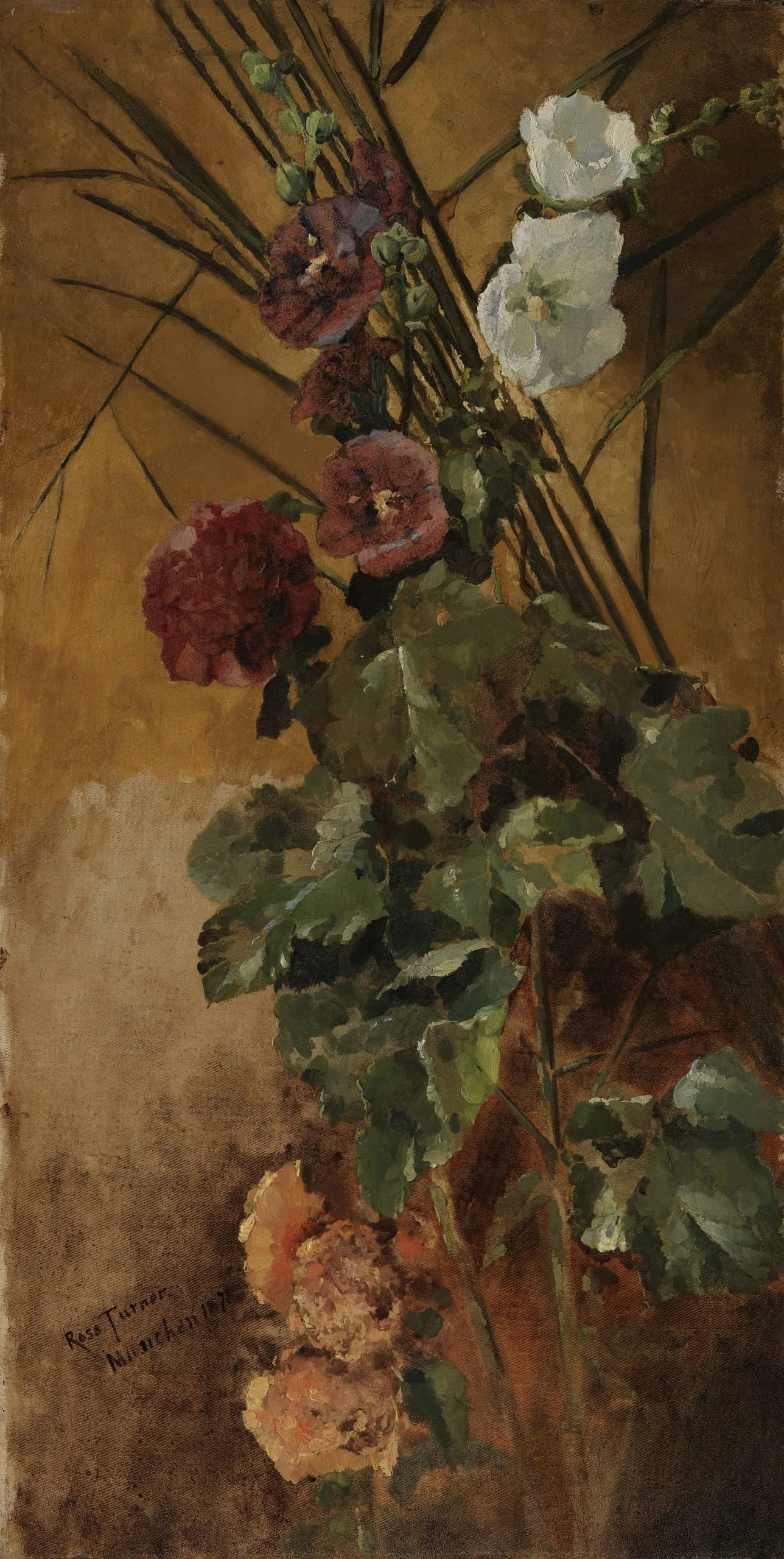 Hollyhocks