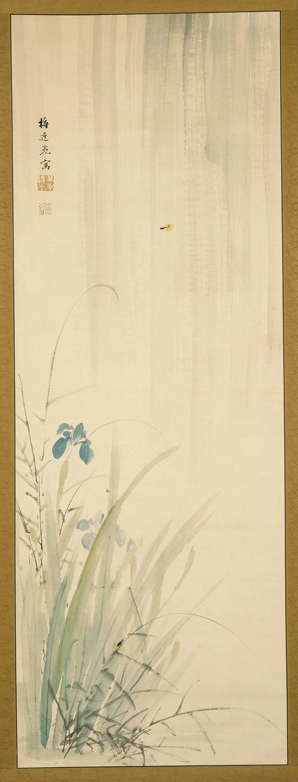 Iris and Insect