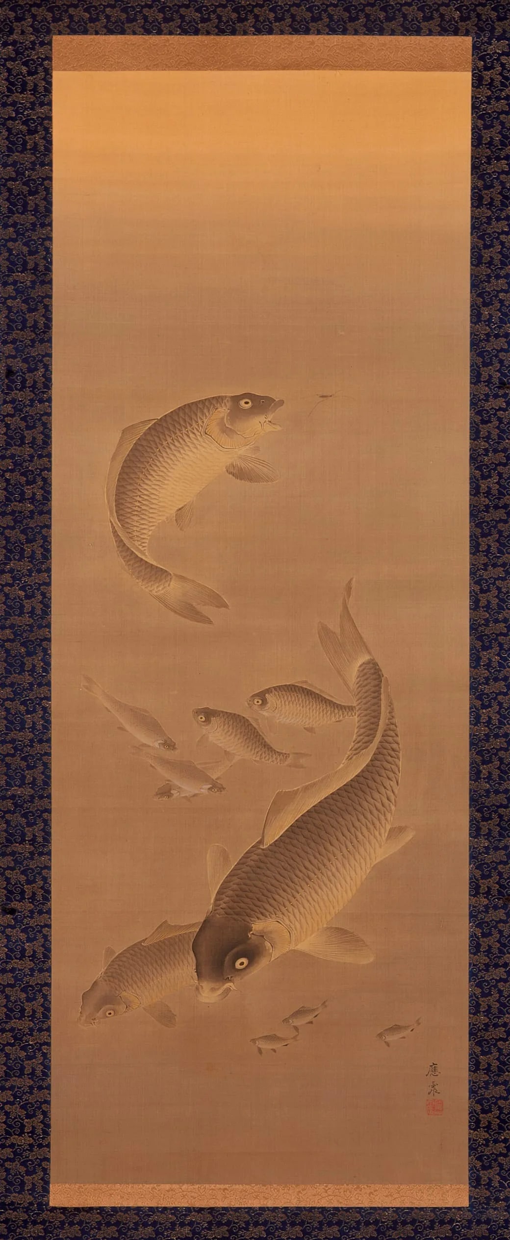 Swimming Carp
