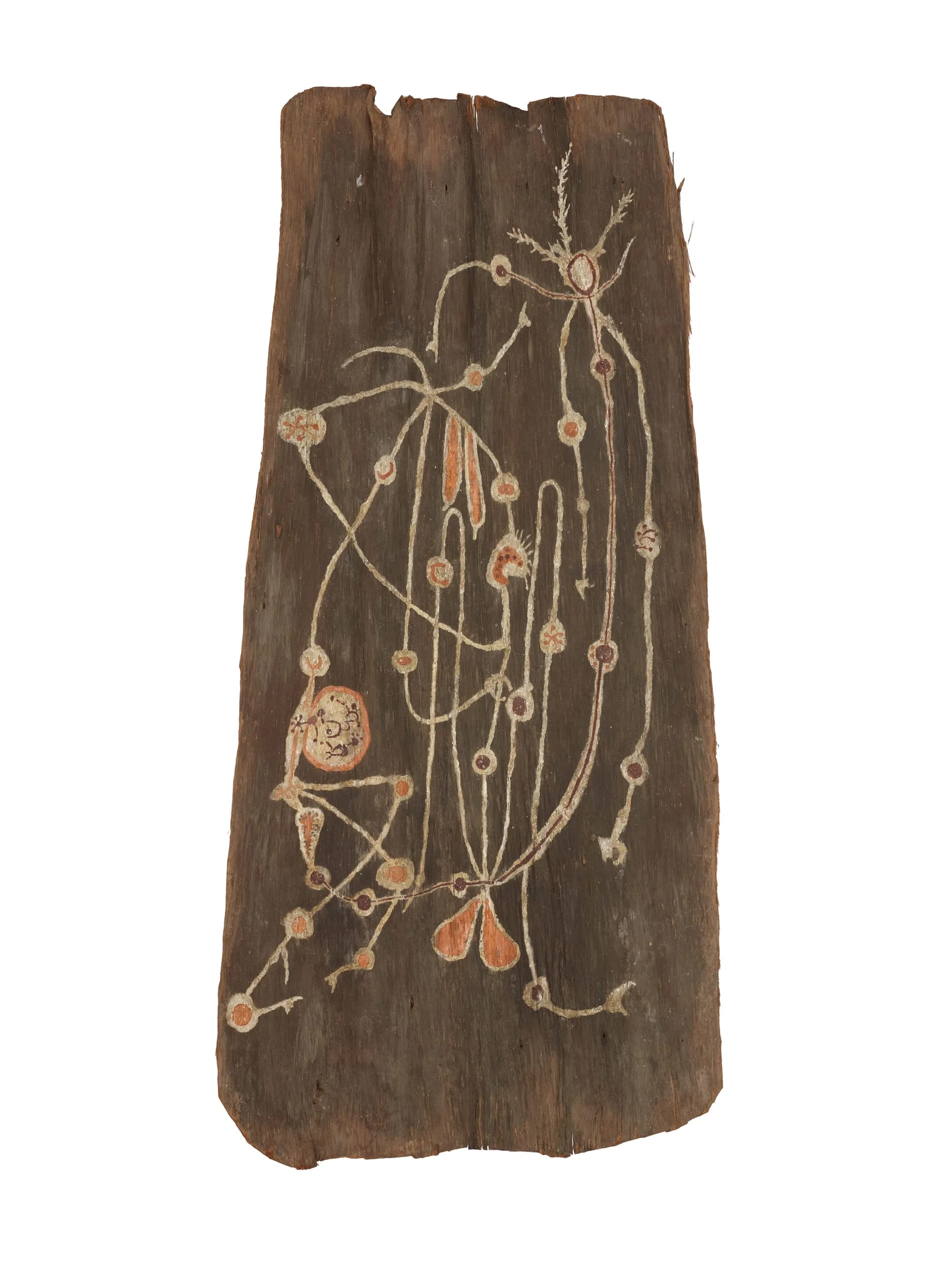Bark Painting