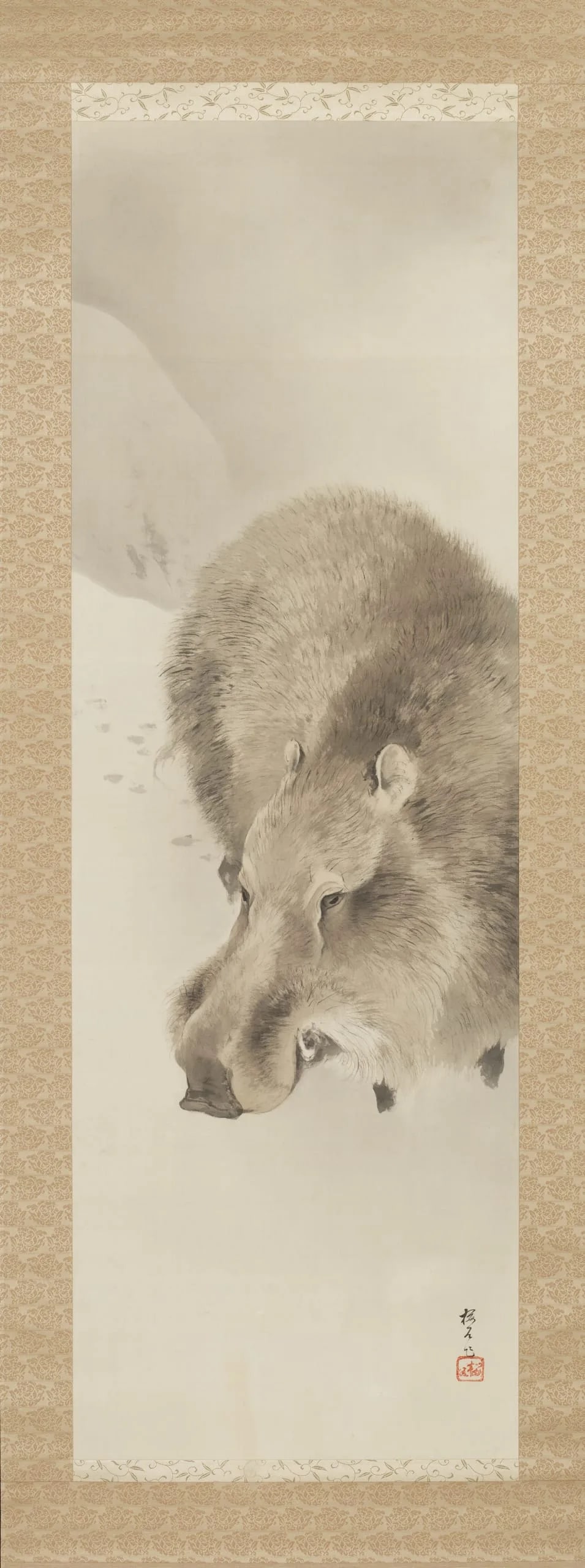 Wild Boar in Snow