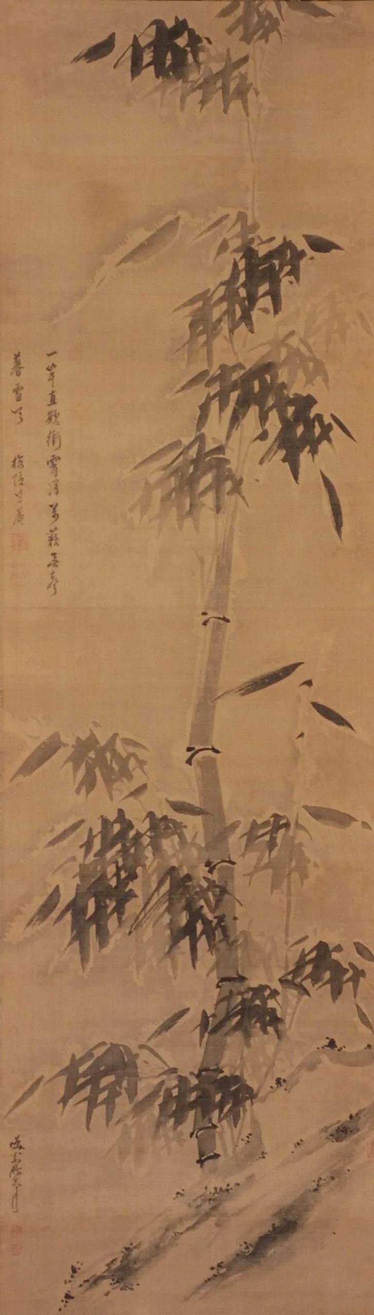 Bamboo in Snow