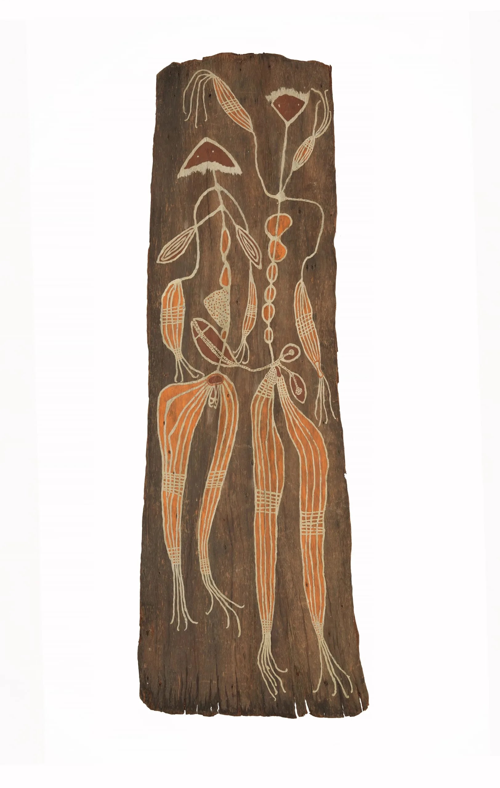 Bark Painting