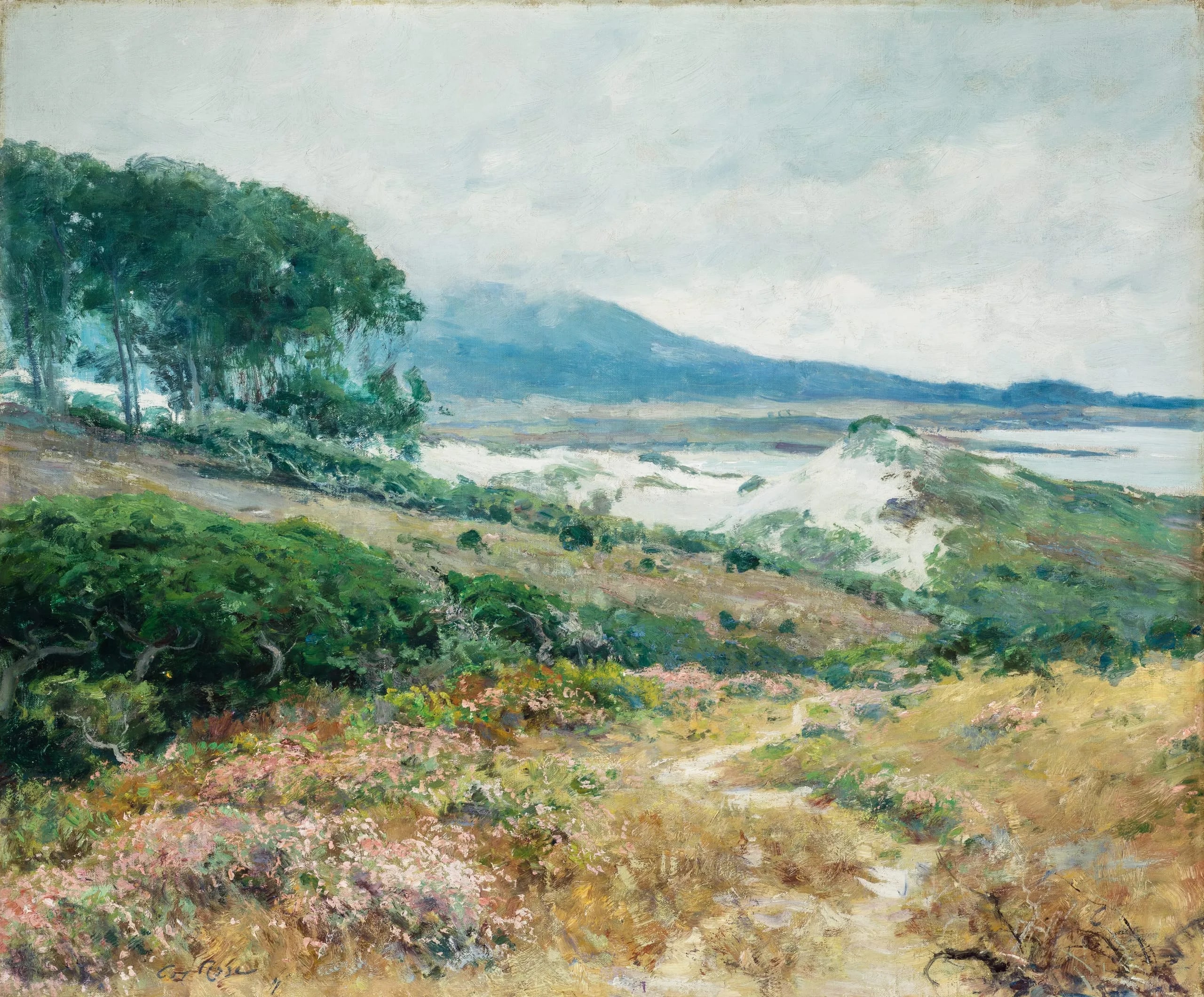 Carmel Dunes