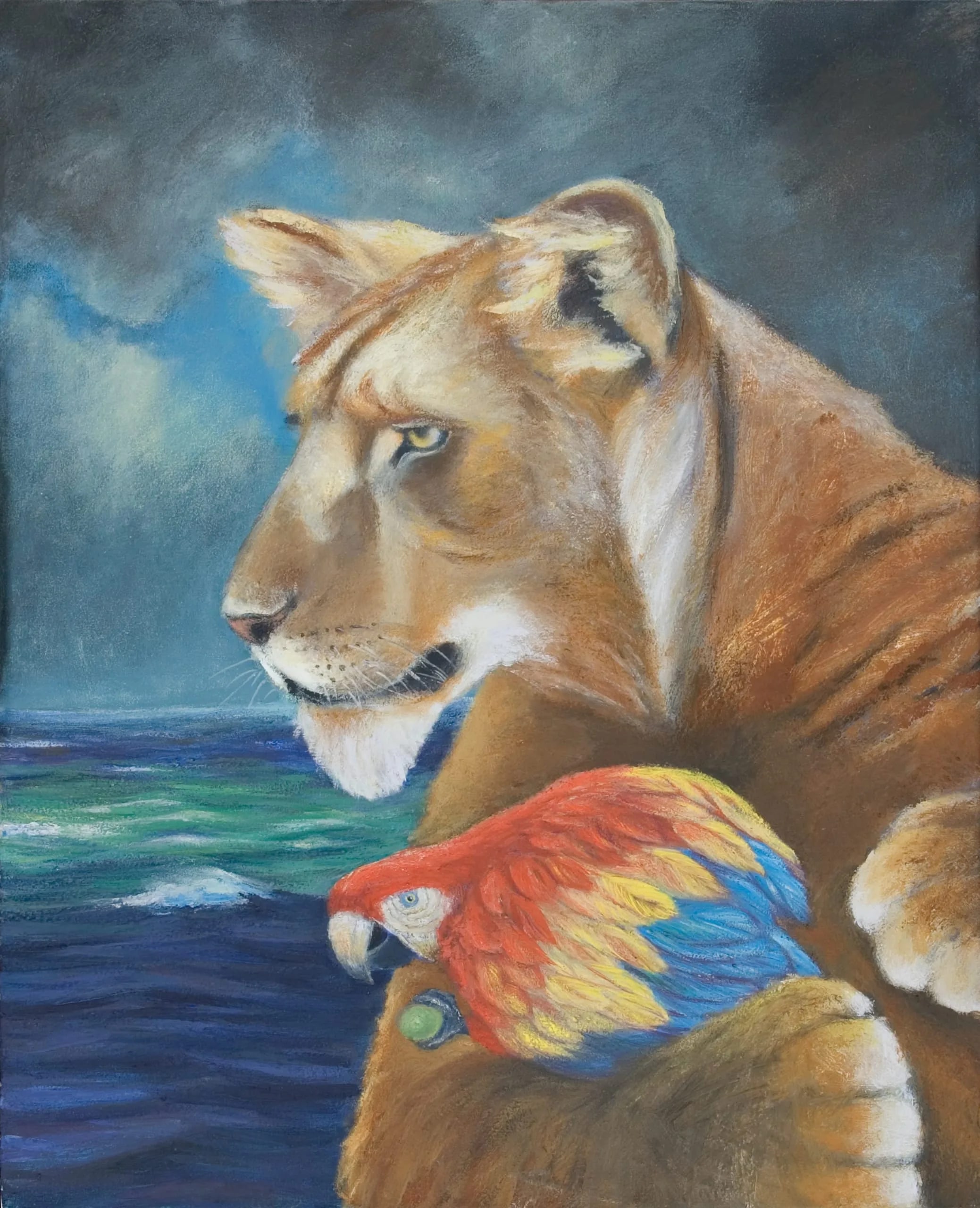 Lioness and Macaw