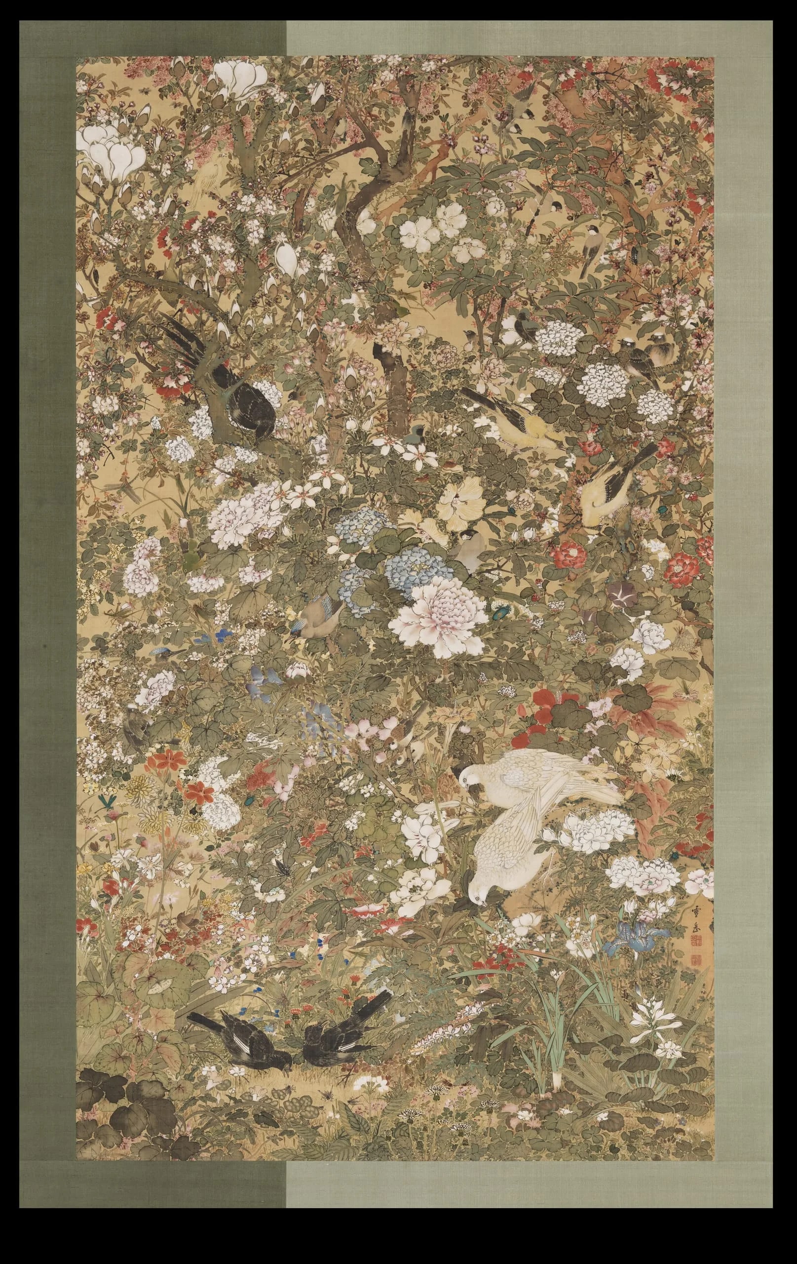 Myriad Birds, Insects and Flowers
