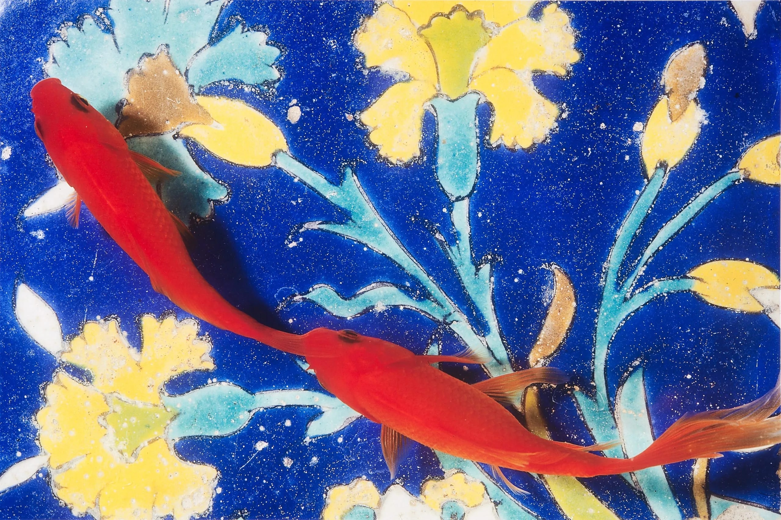 Fish on Tile