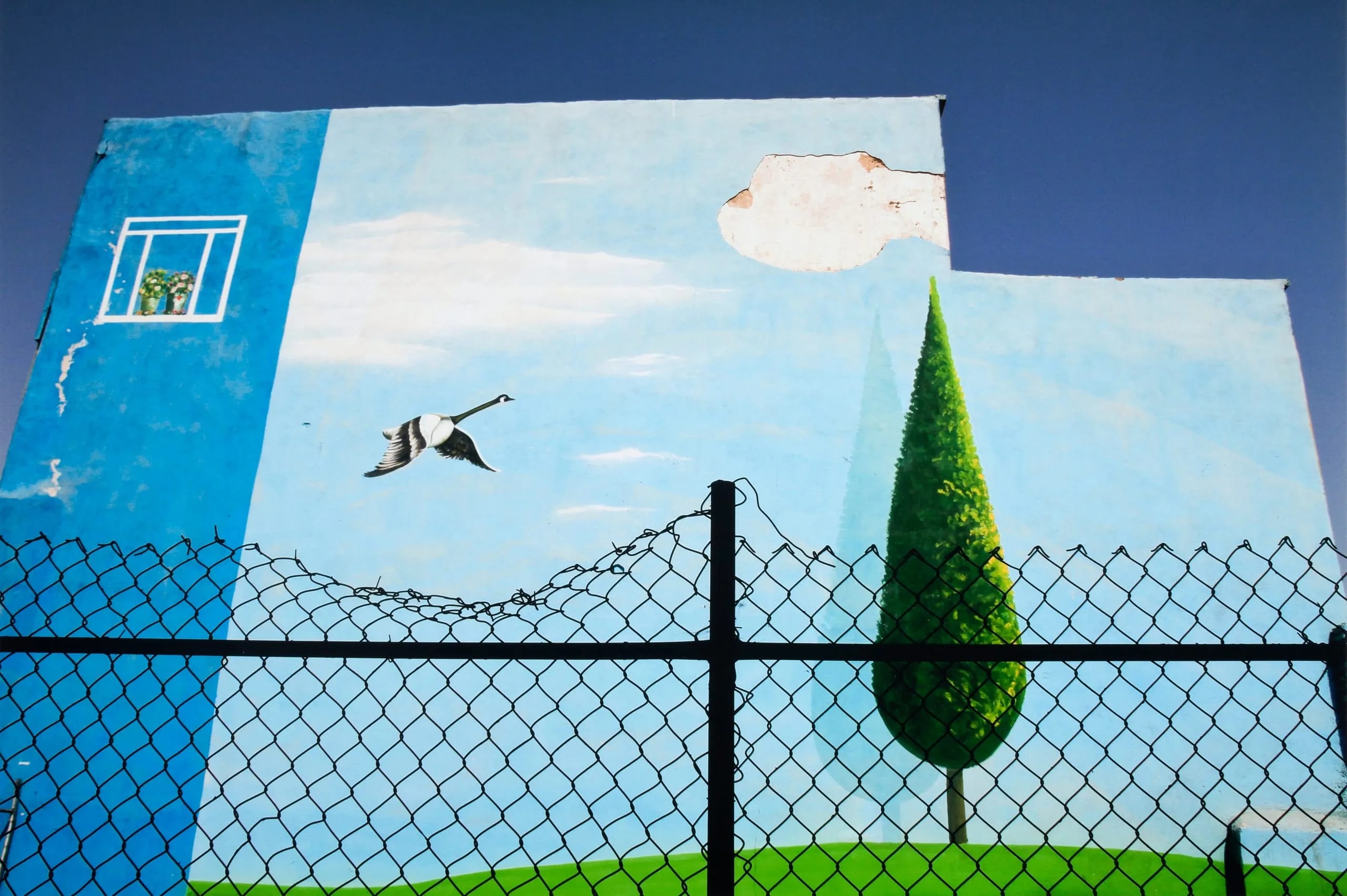 Untitled, #5, from the series Lost in Wonderland II