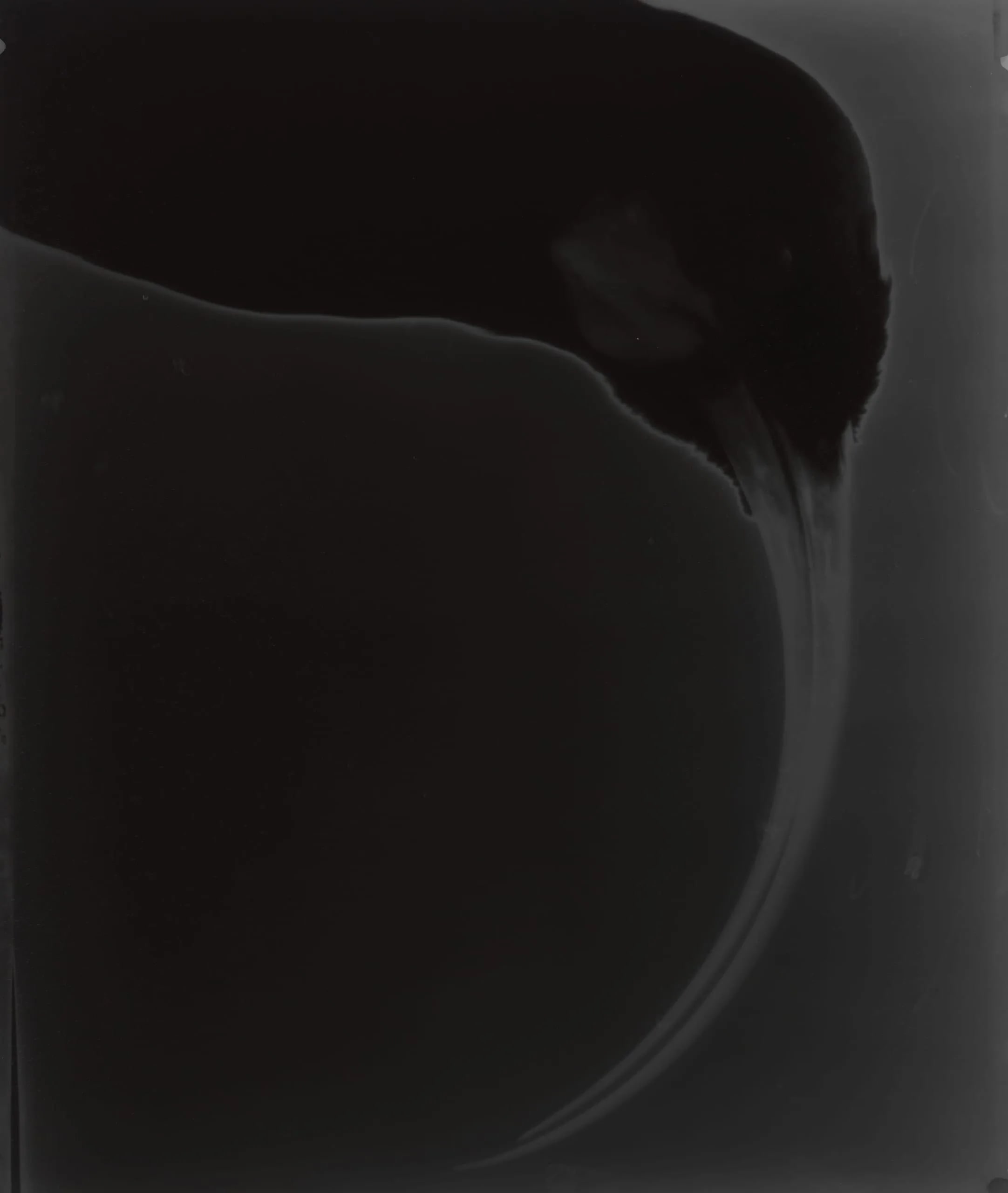 Moon Huia, O+ Huia 1269/21.02.08, Whanganui Museum, New Zealand
