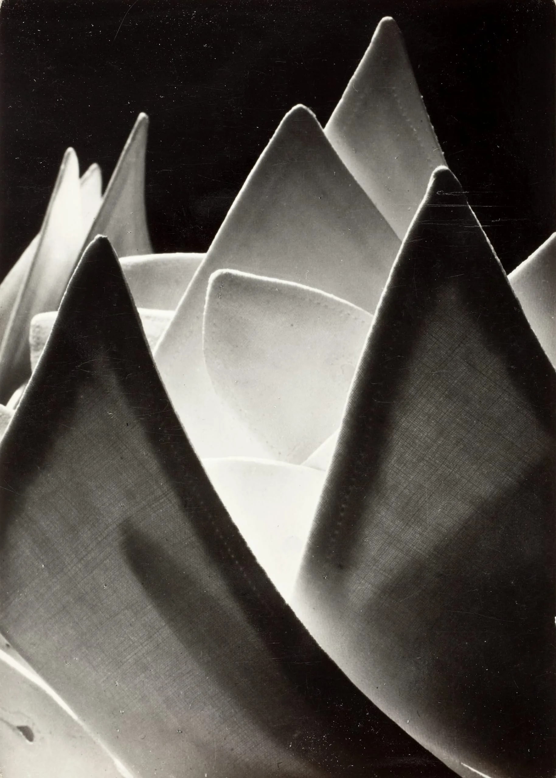 Untitled (Shirt Collars)