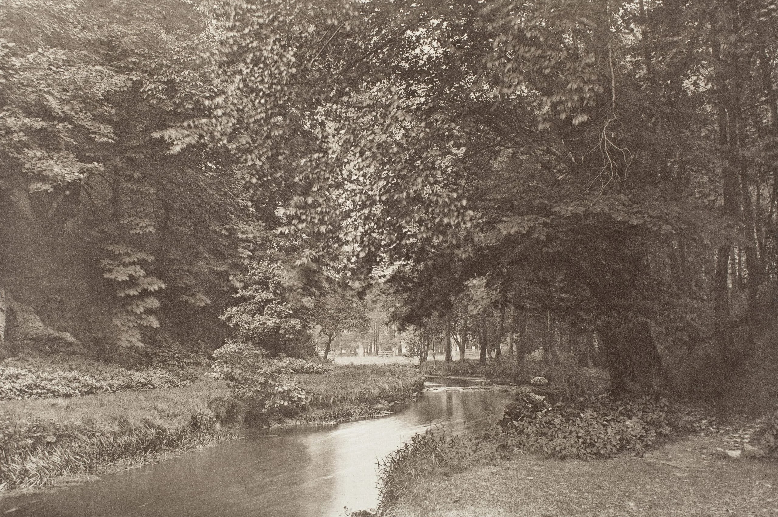 In Beresford Dale (#52)
