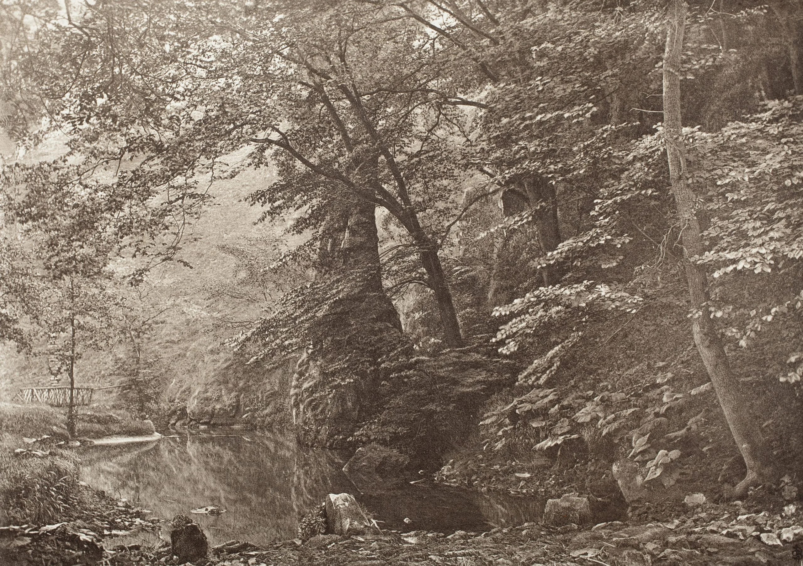 "Pike Pool," (From Below) (#51)