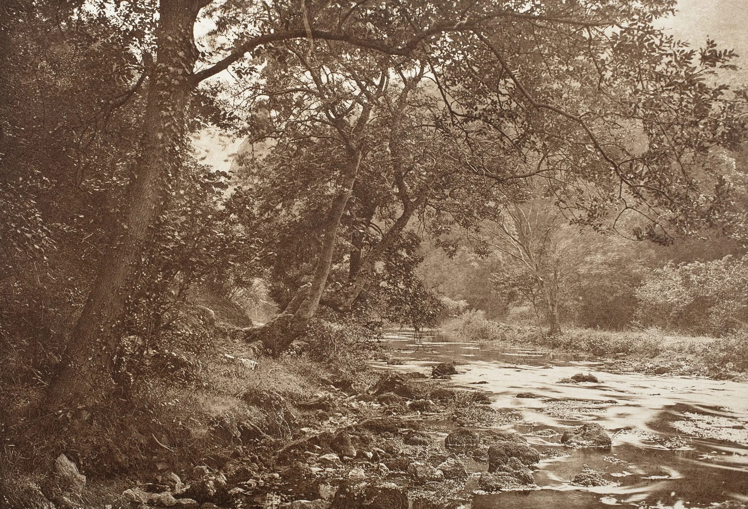 Near Reynard's Cave, Dove Dale (#46)