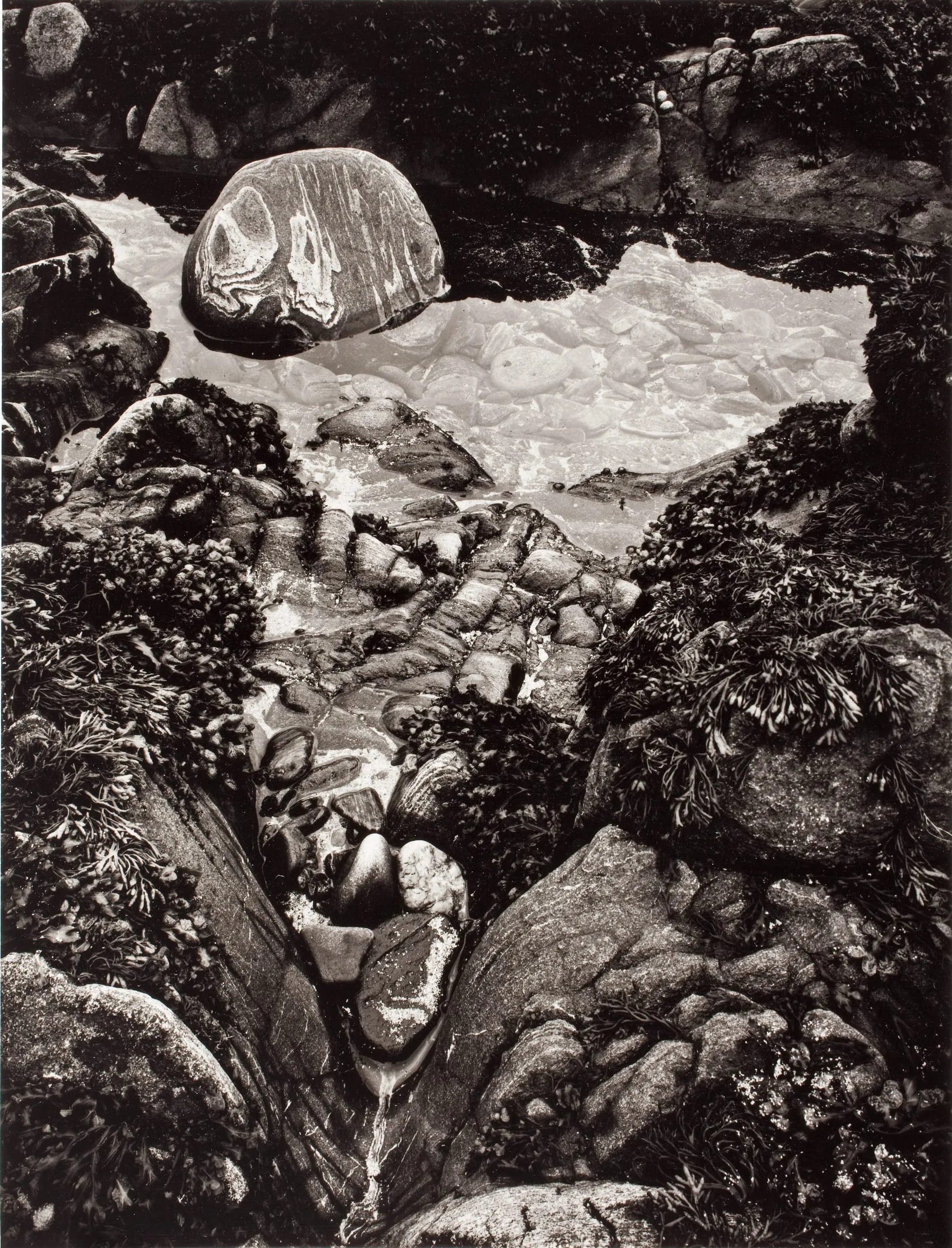 Rock Pool, Skerry, 1974