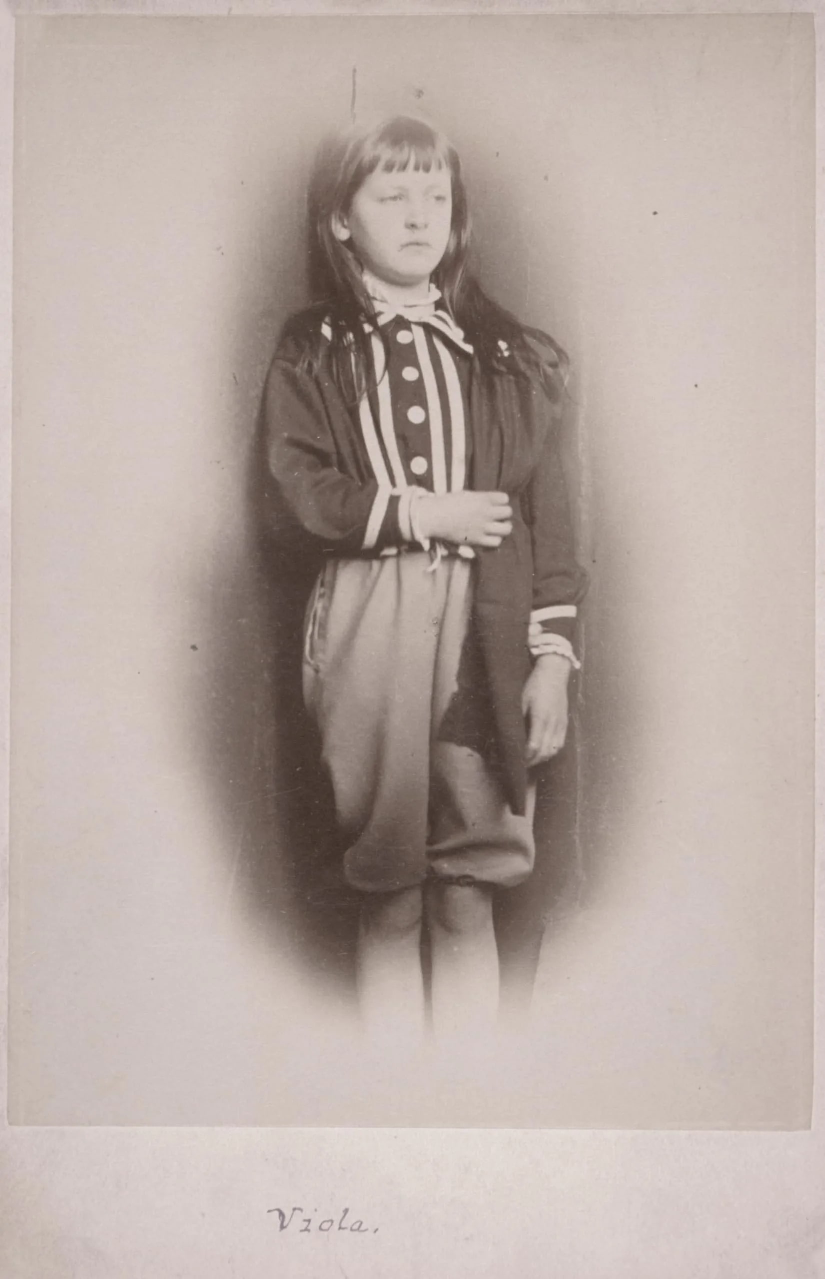 Viola