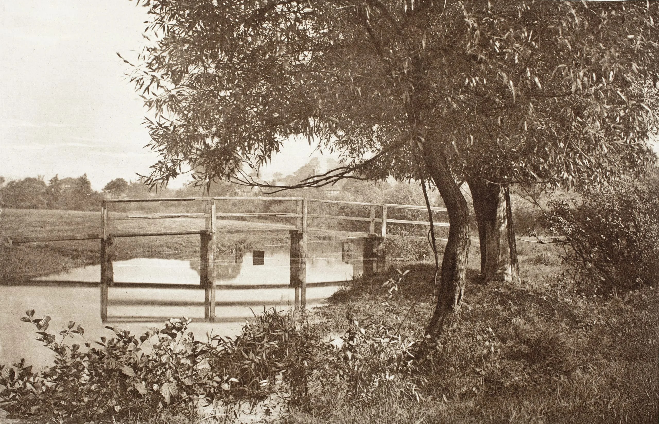 On The "Sow," Near Walton's House At Shallowford (#31)