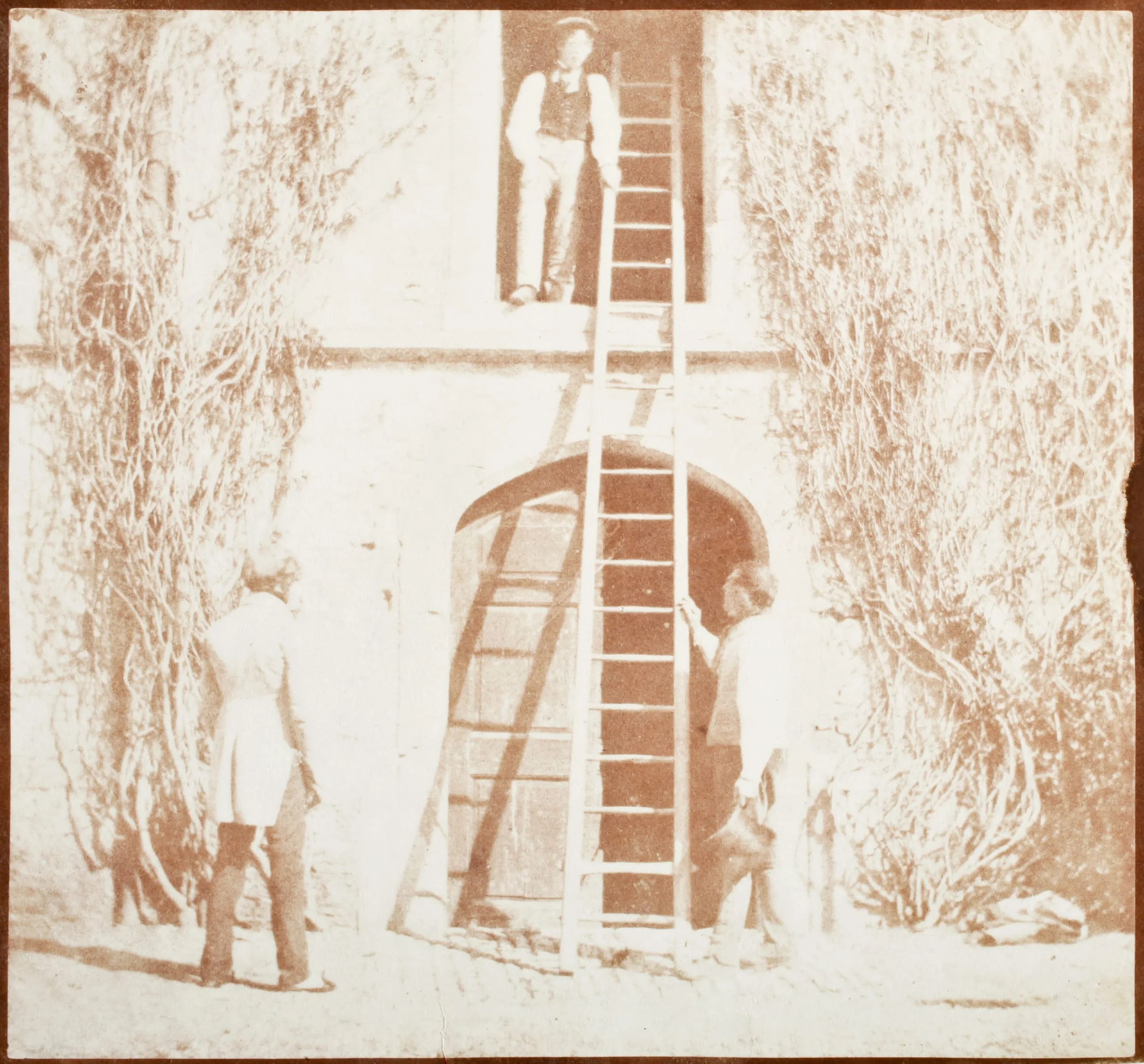 The Ladder