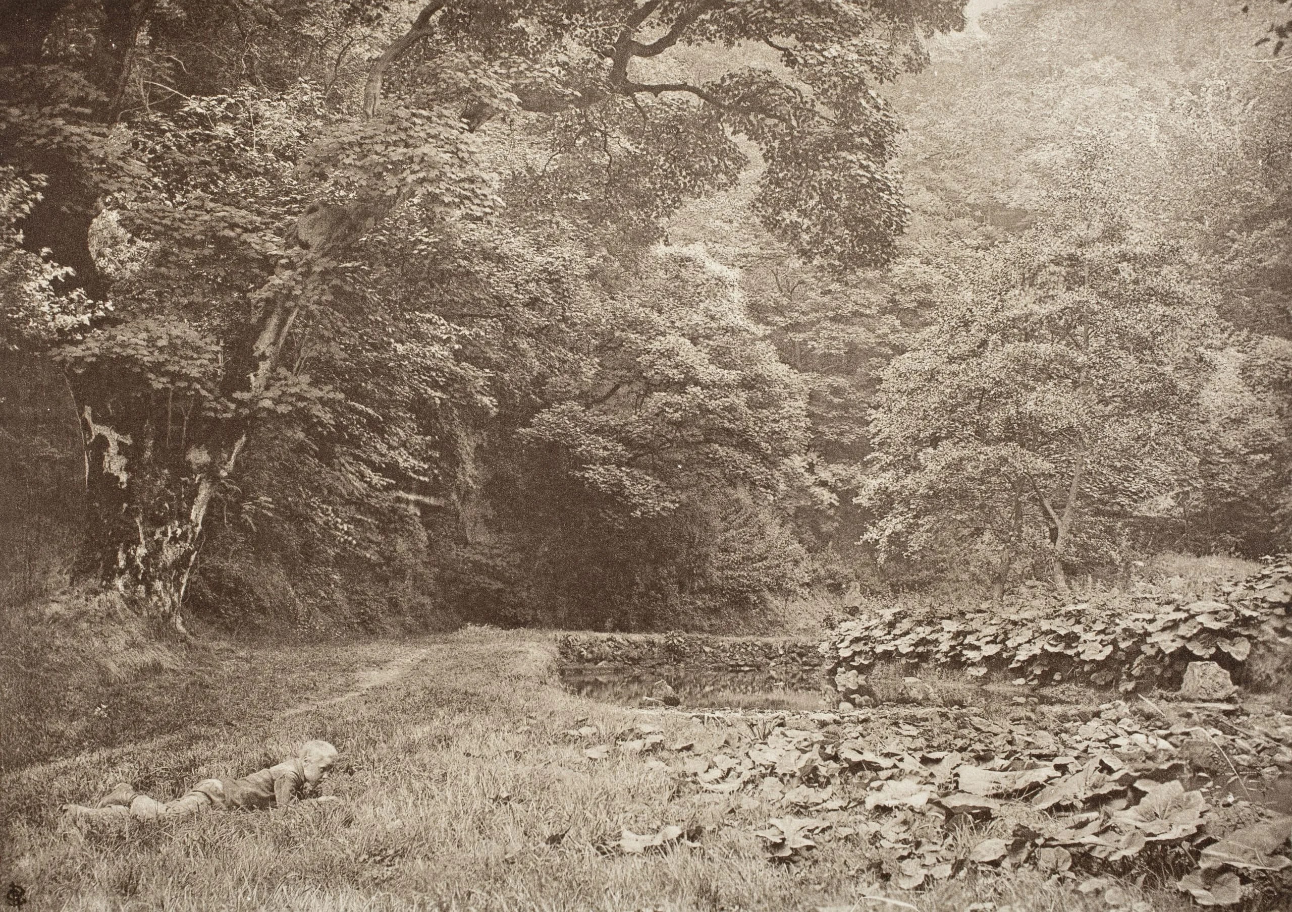 A Quiet Nook In Beresford Dale (#53)