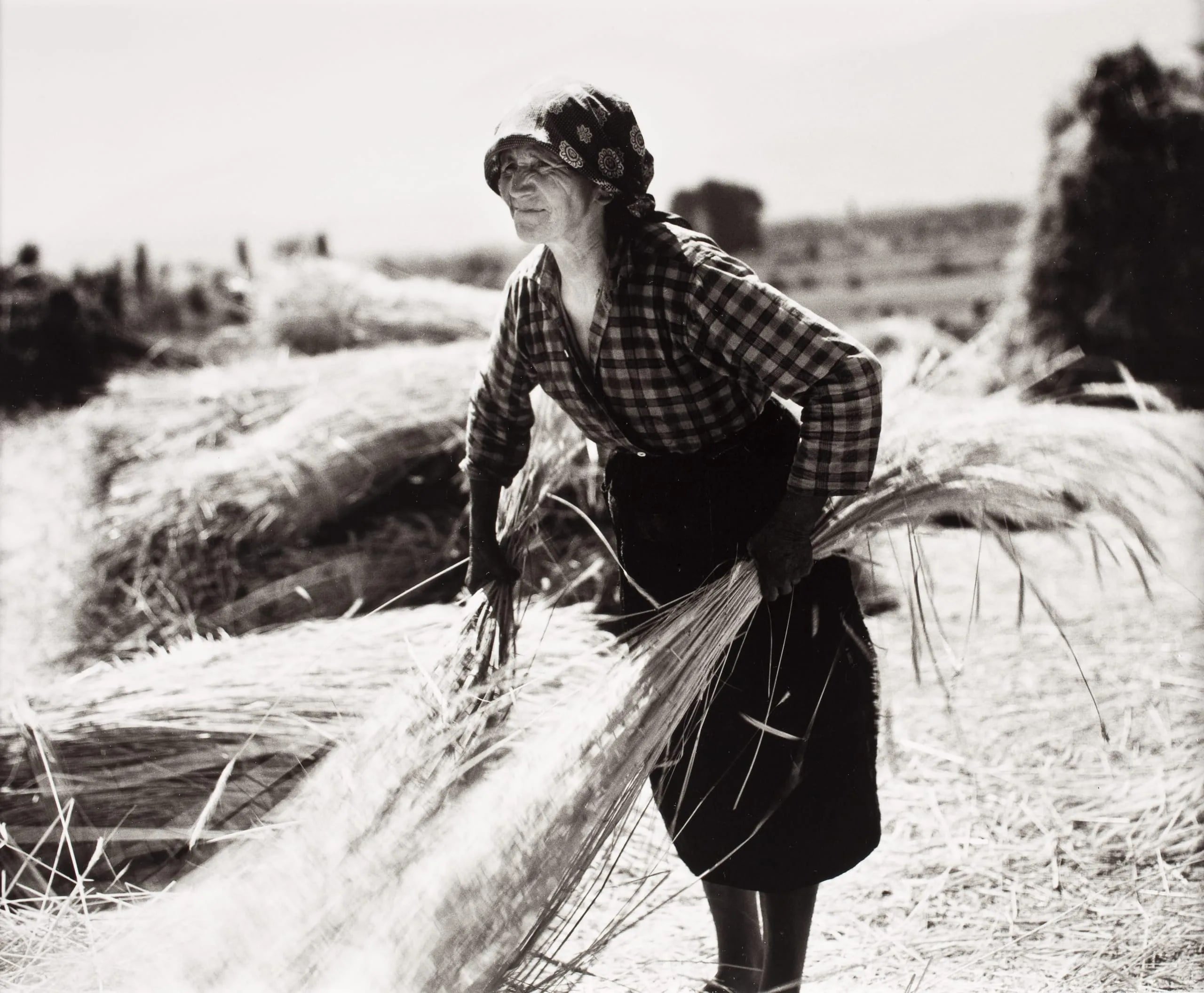Peasant Woman Winnowing - Macedonia