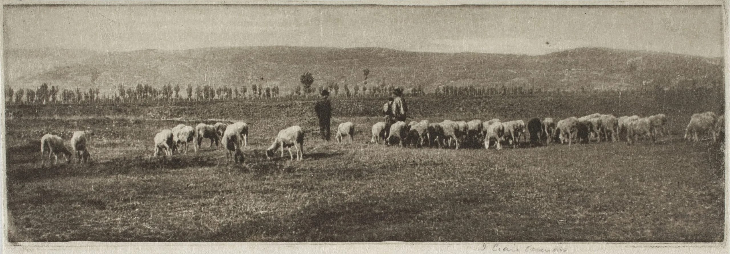 A Lombardy Pastoral (#8)