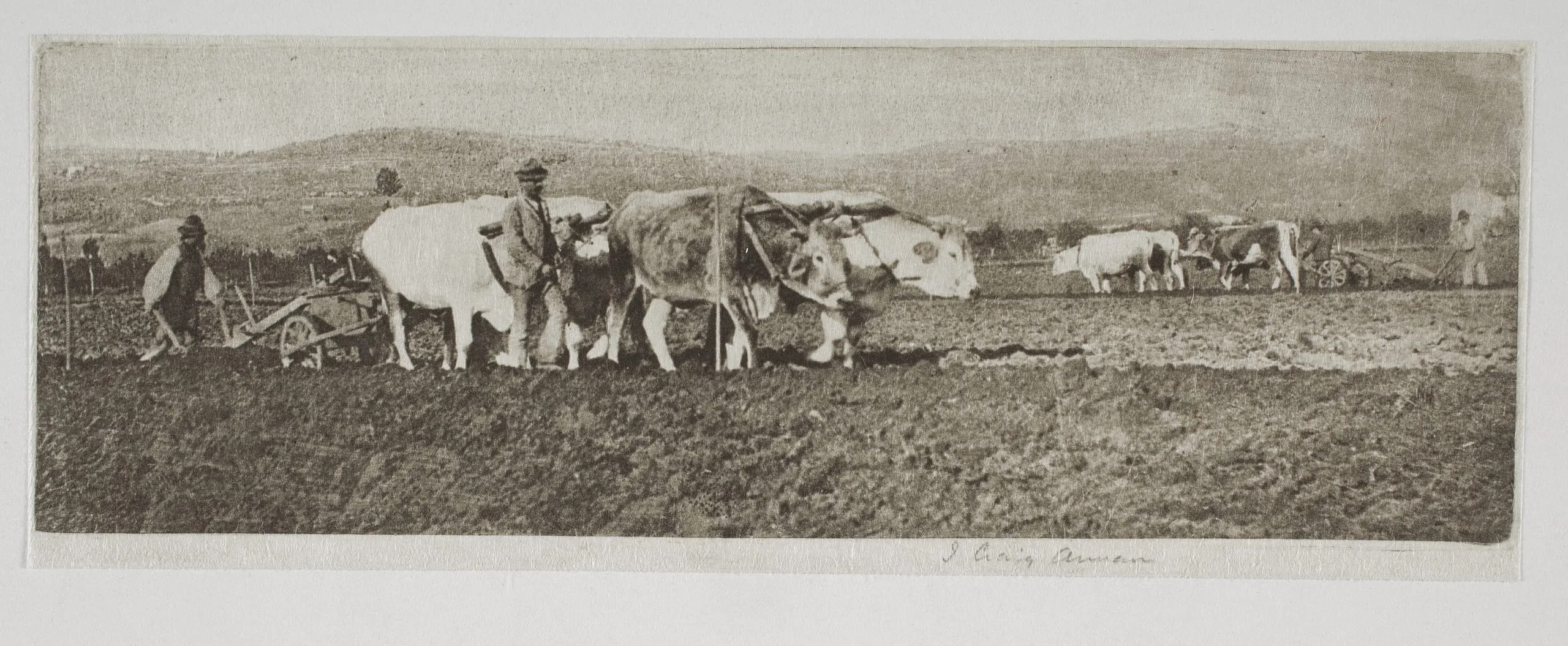 Ploughing On The Campagnetta (#7)