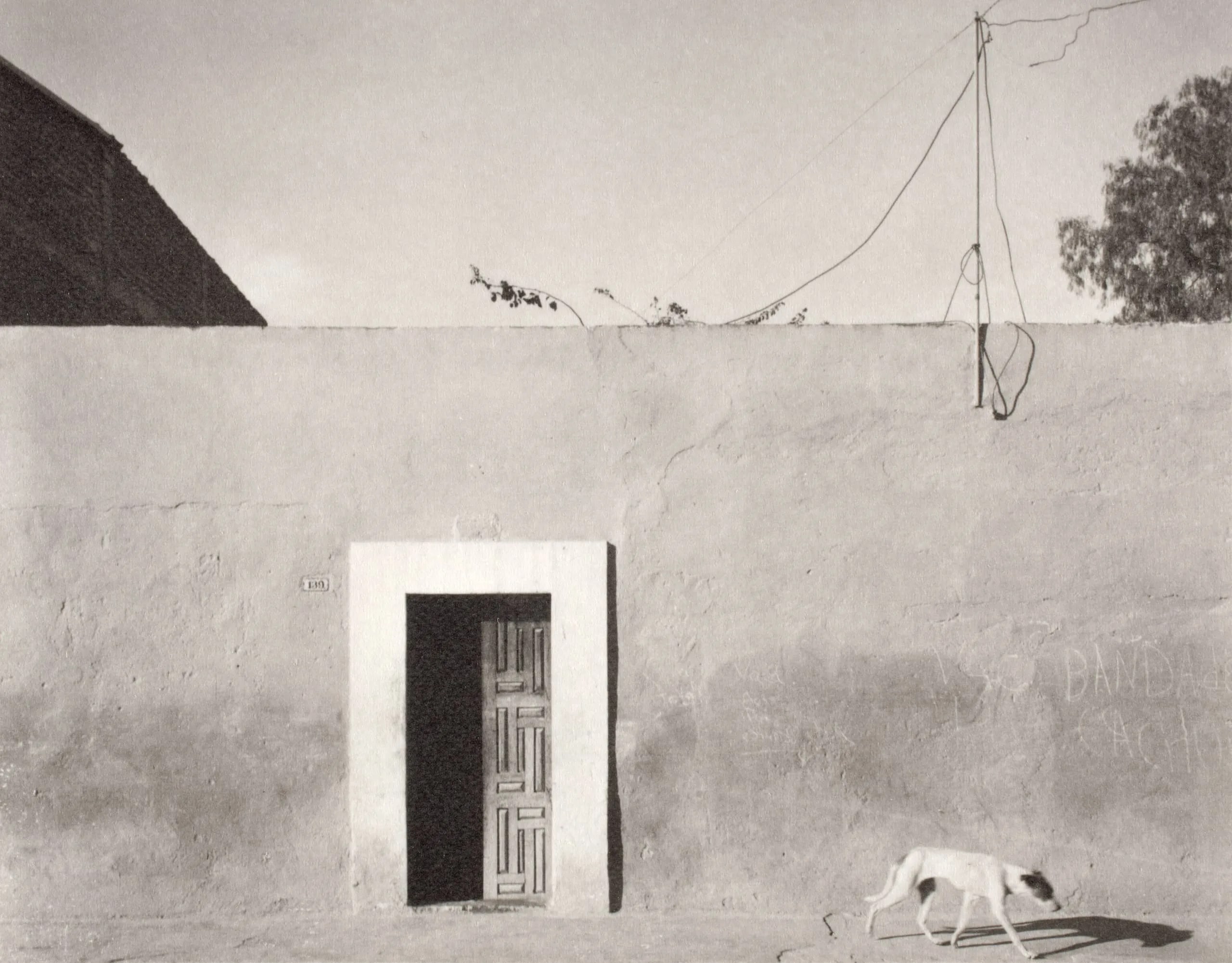 Mexico 24 (Mexico, Dog And Building)