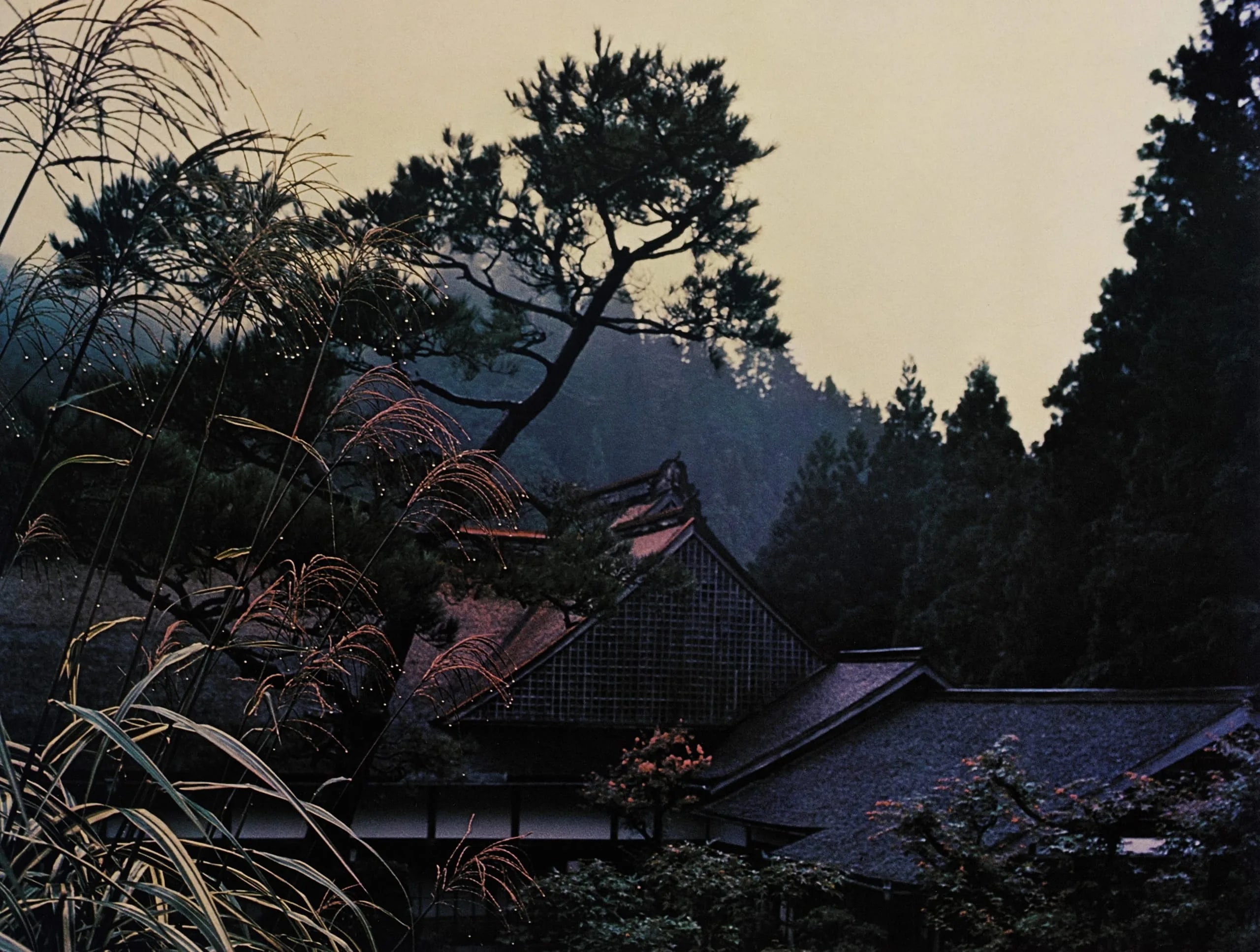 Koya-Sen, Japan