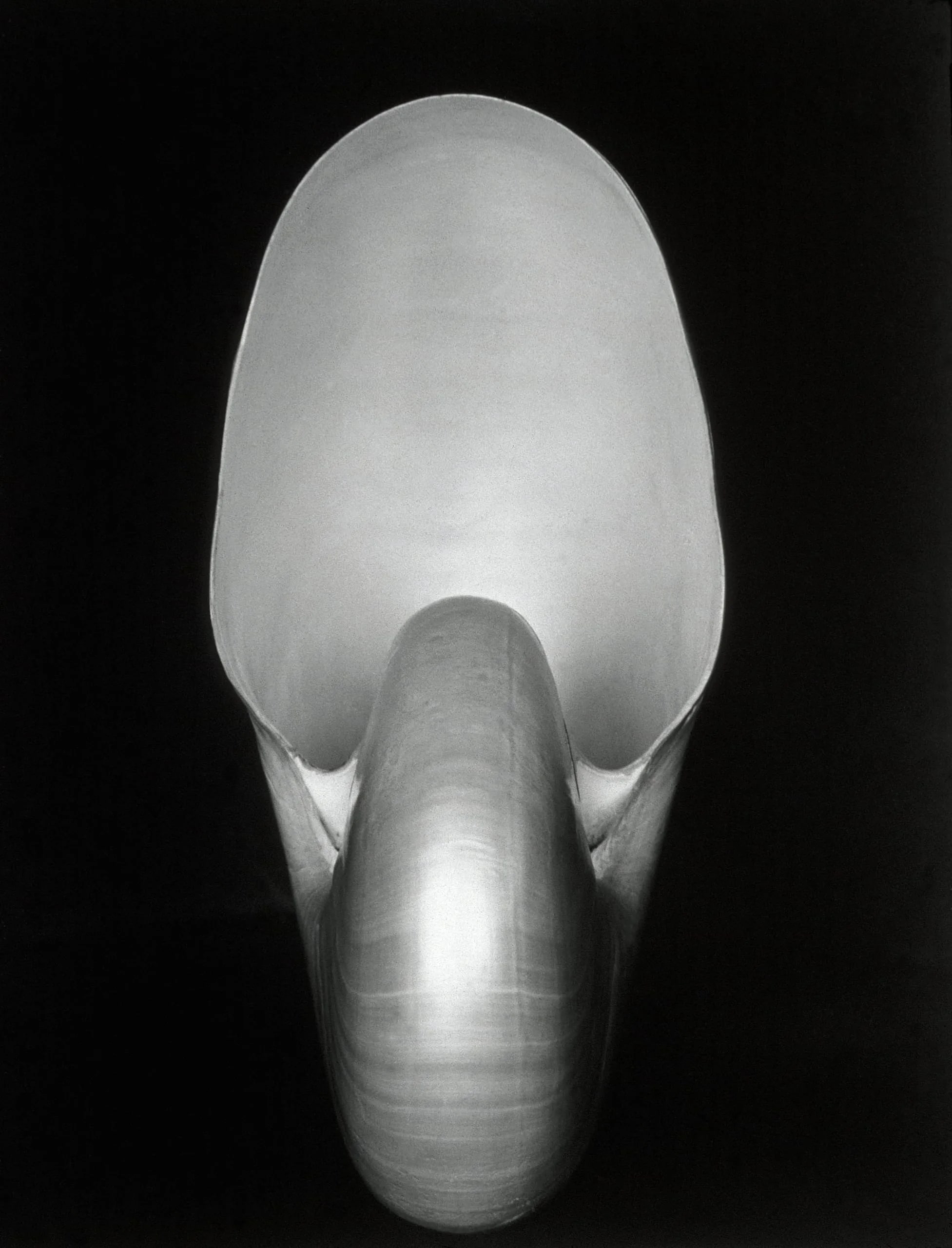 Shell
