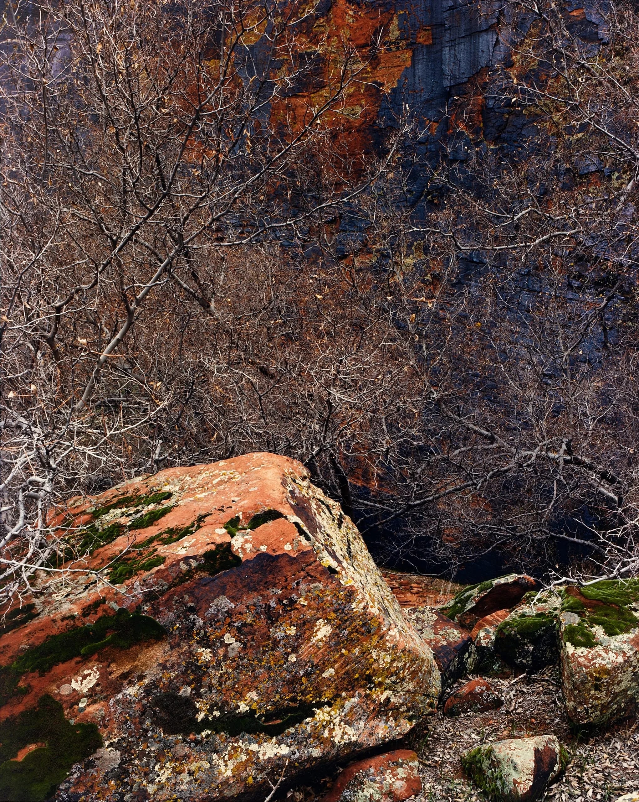 Snow Canyon, Leichen Rock