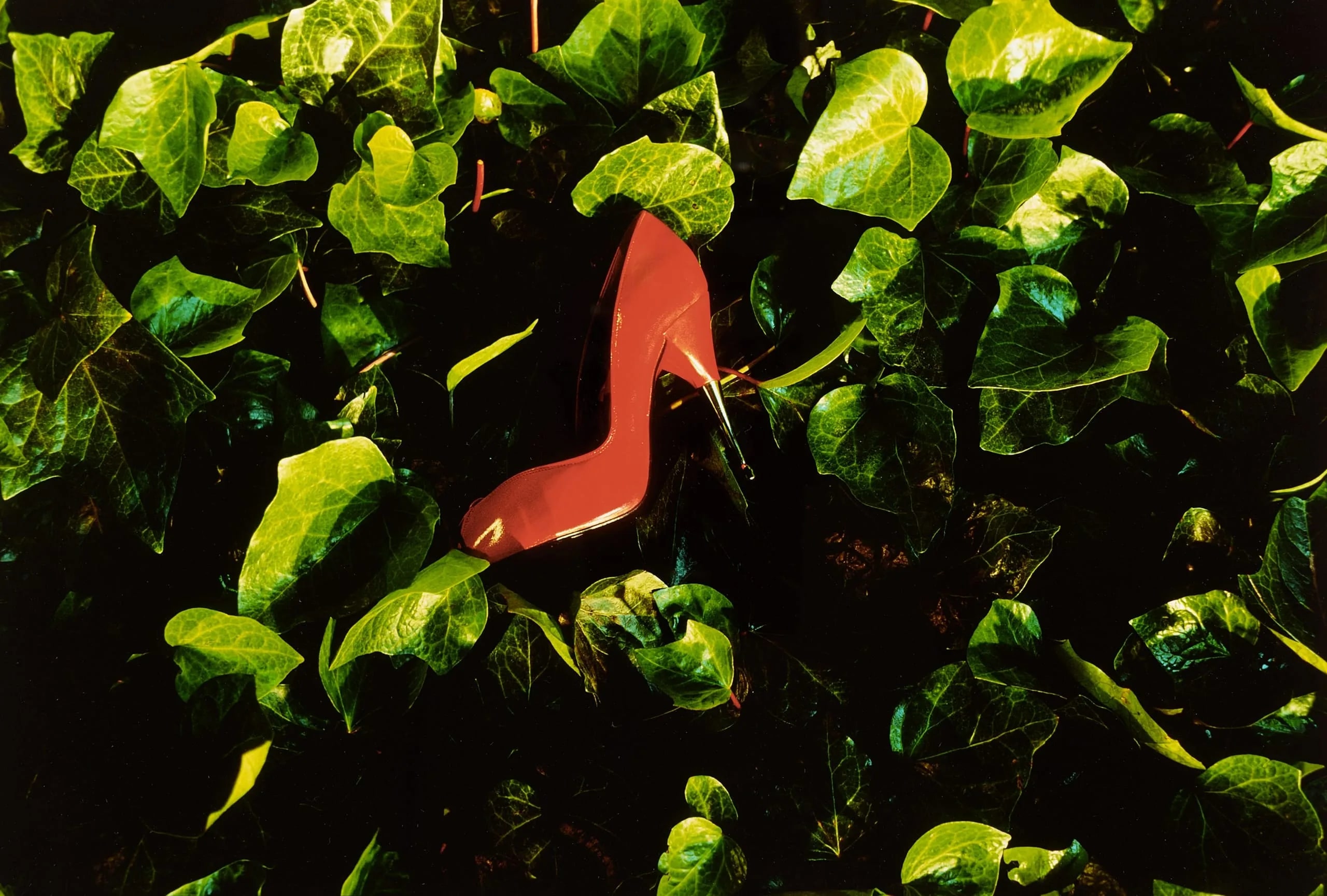 Red Shoe