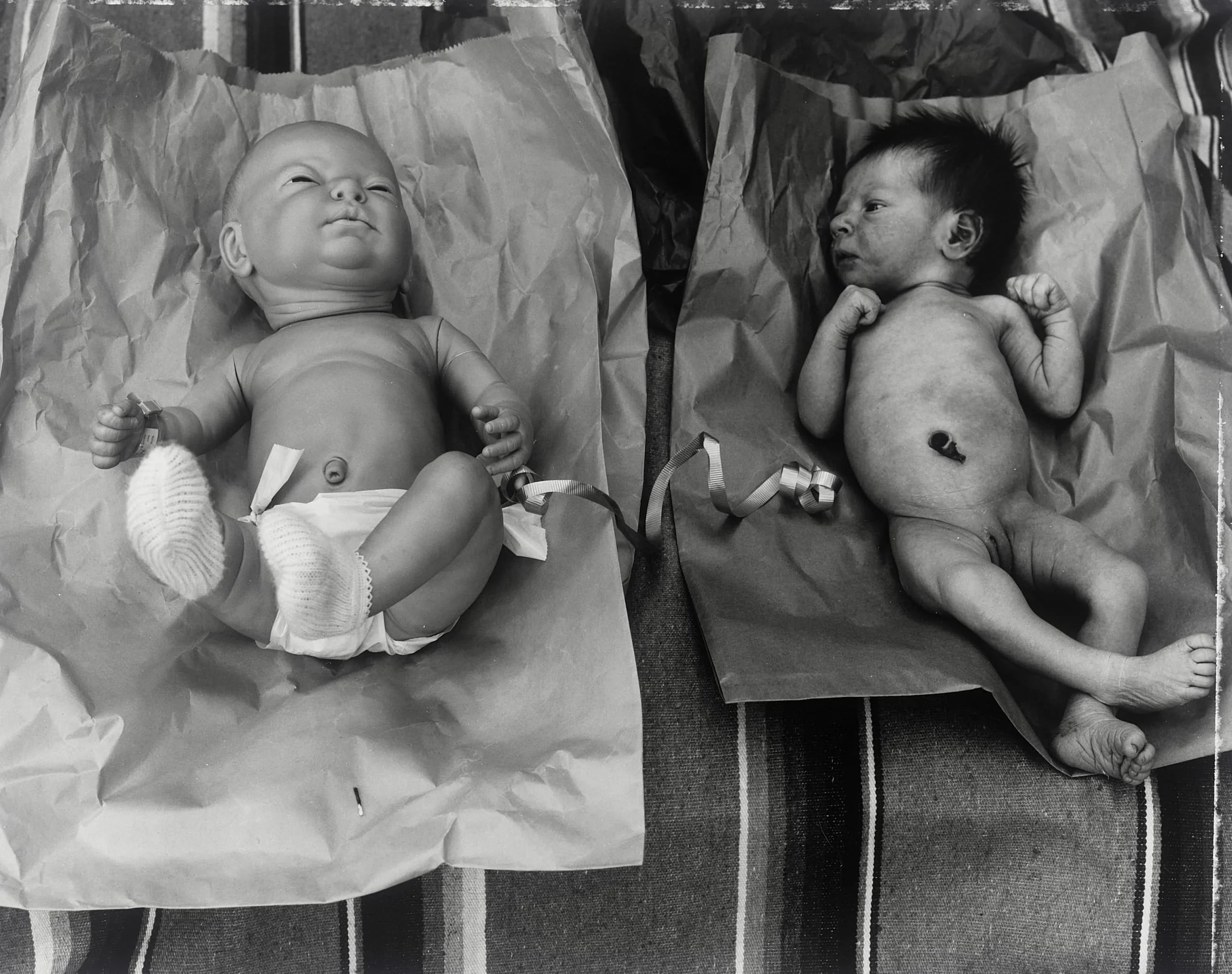 Surrogate Baby