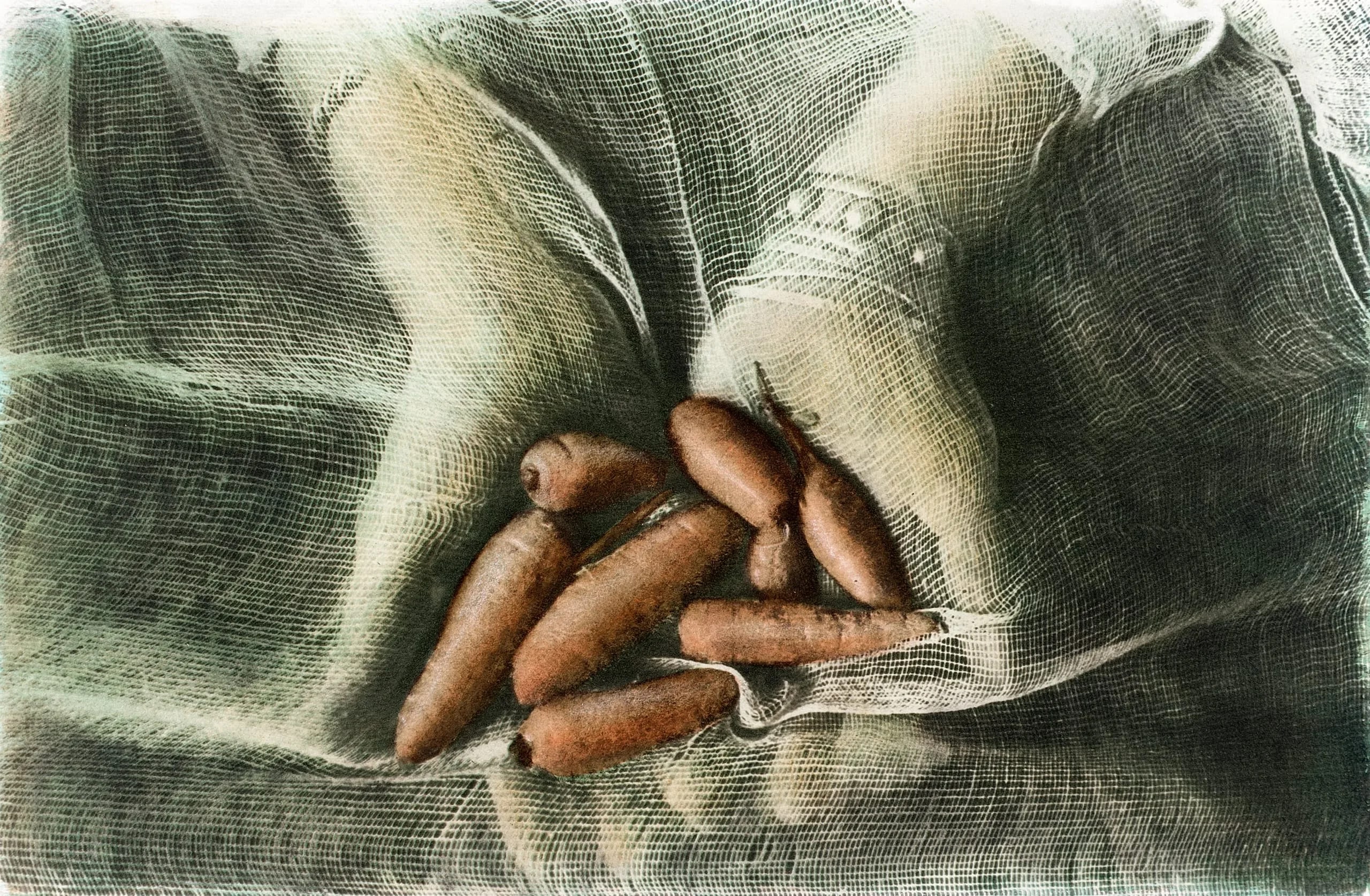 Carrots