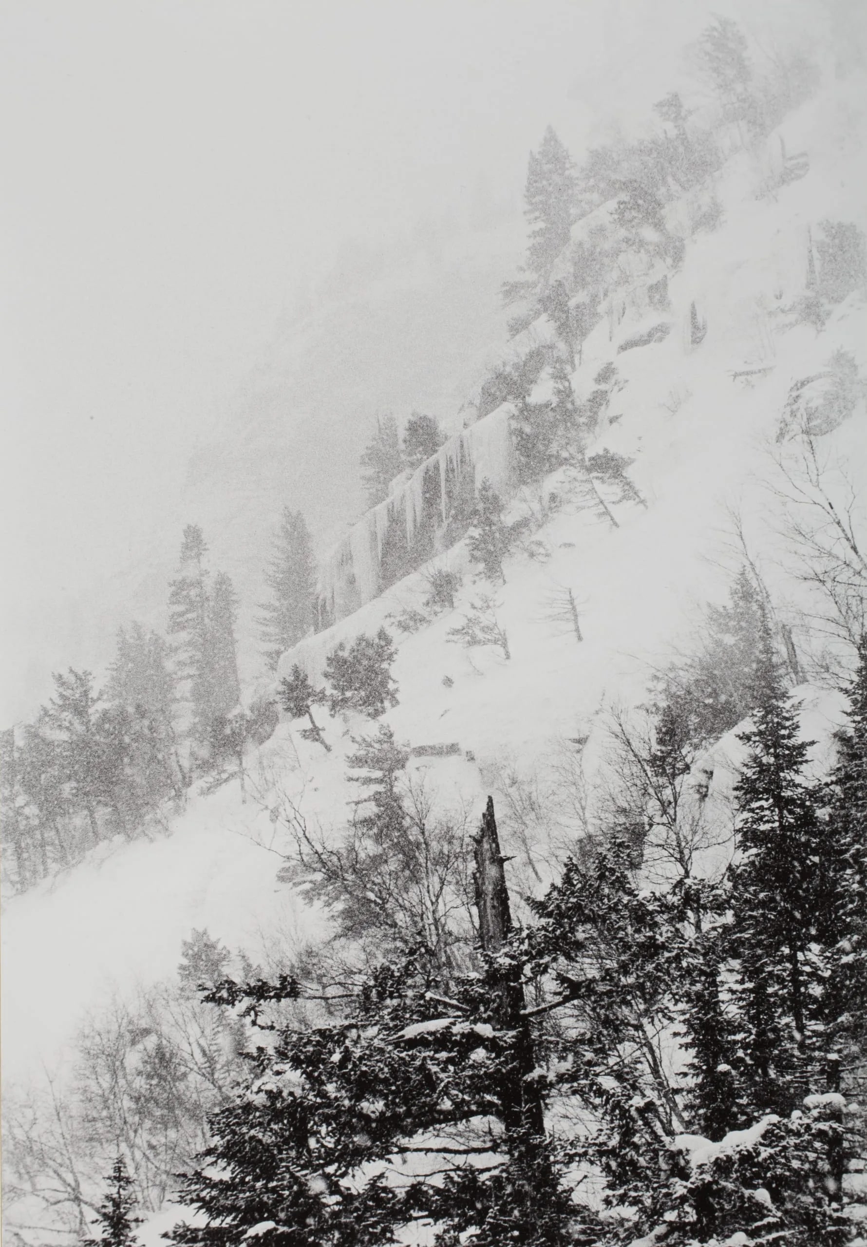 Snowy Landscape