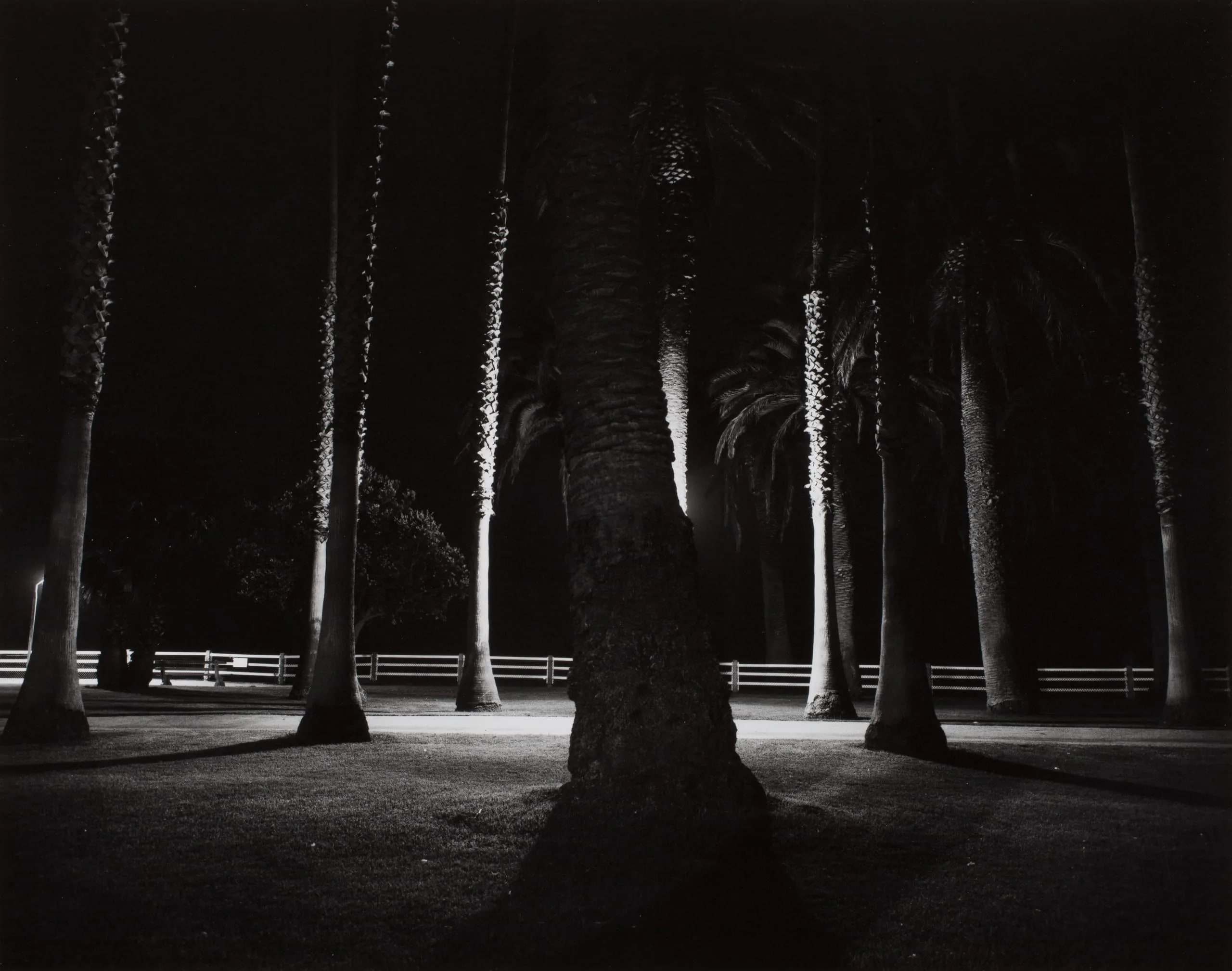 Palisades Park, Santa Monica, California