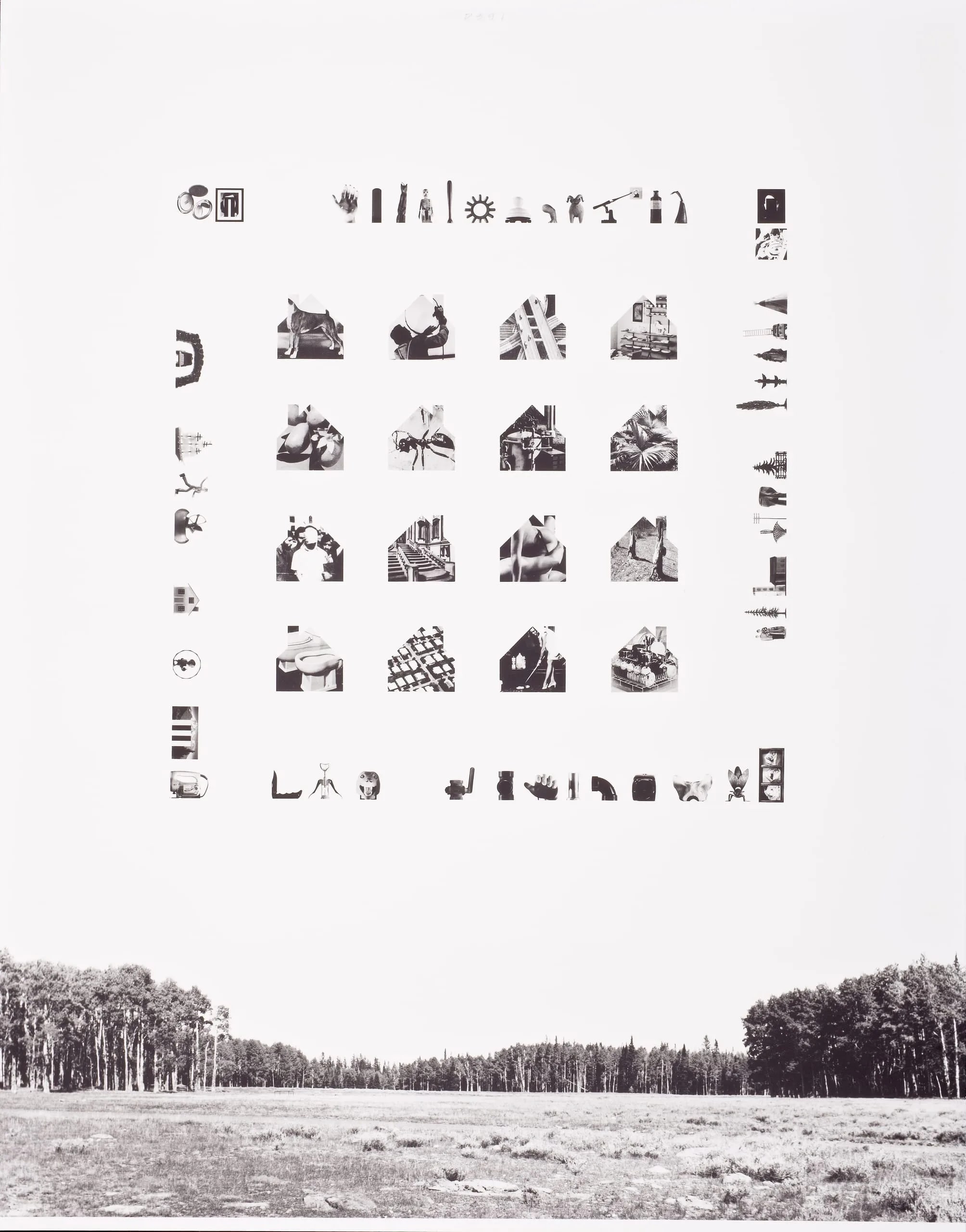 "Tract"- Forest   1/3