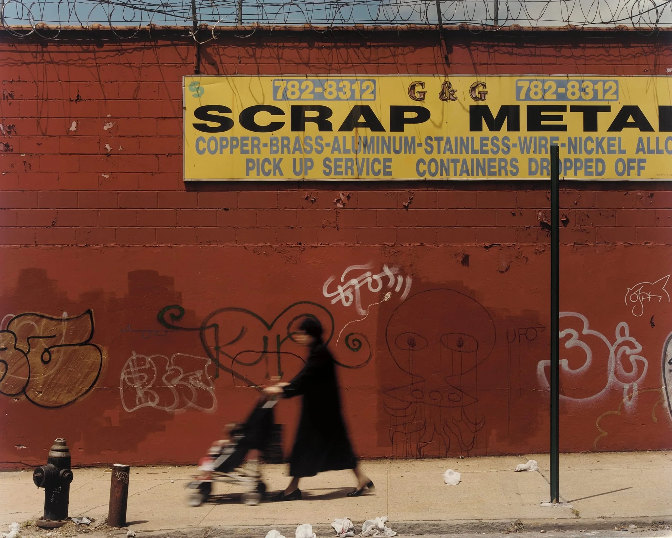 Scrappy, Williamsburg, Brooklyn
