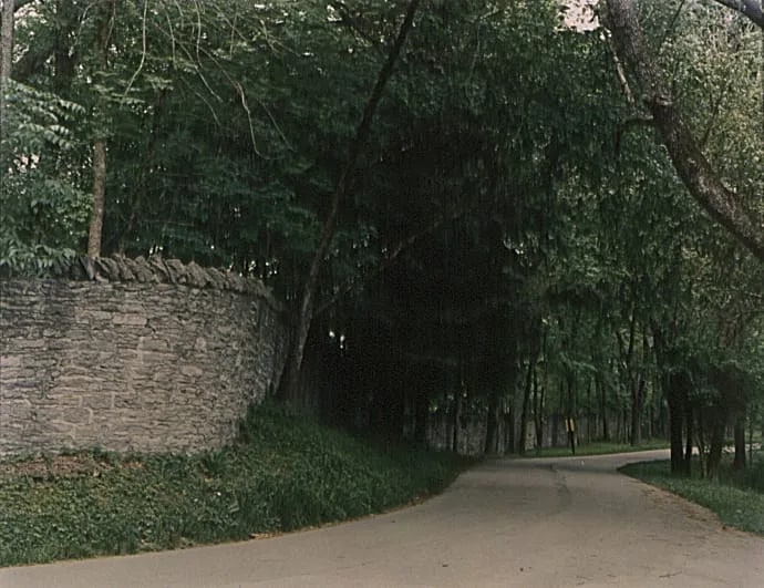 The Wall