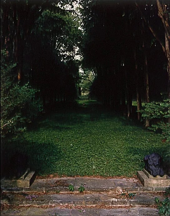 The Guardians of the Garden