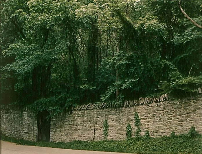 A Door to the Garden