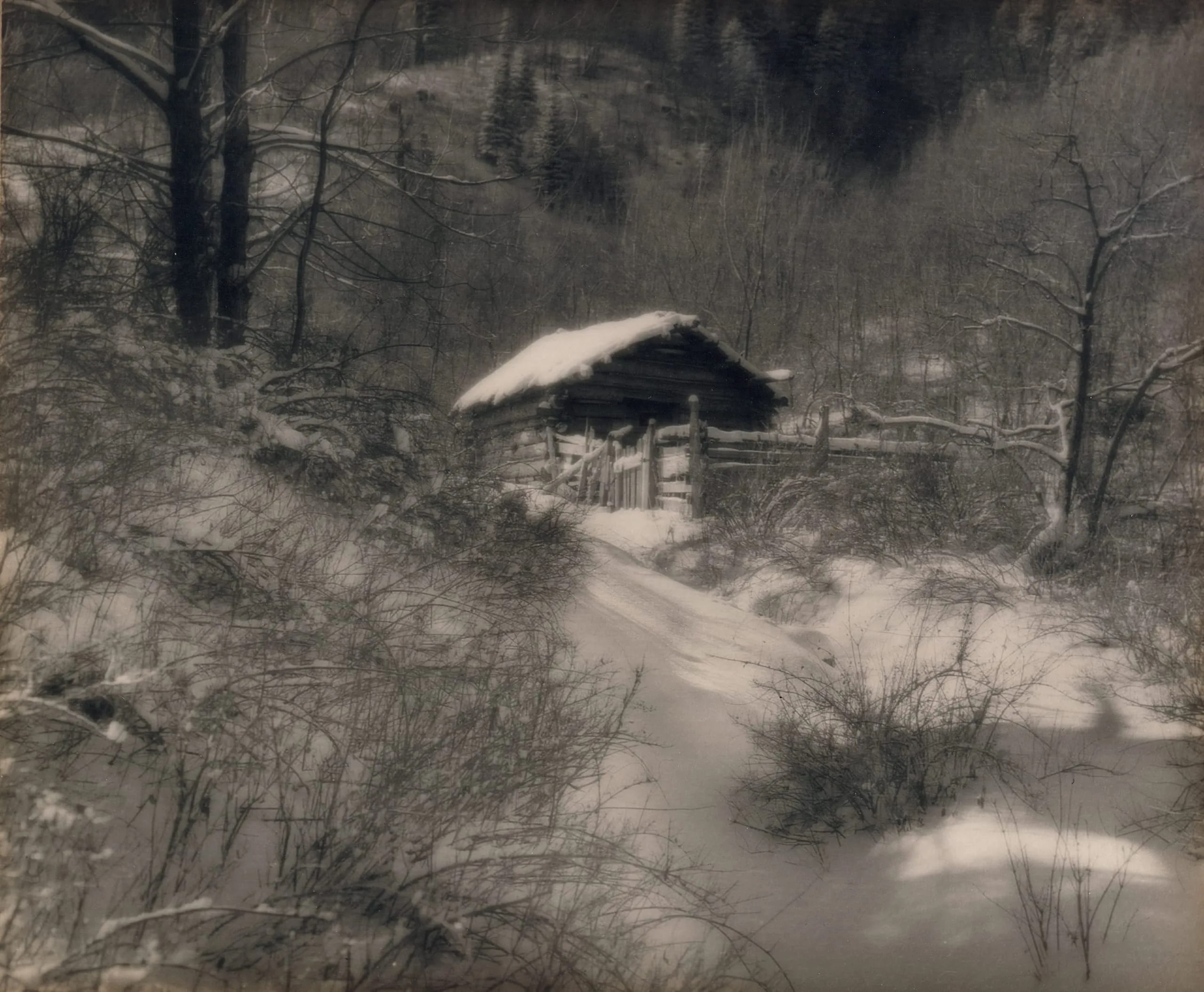 Winter