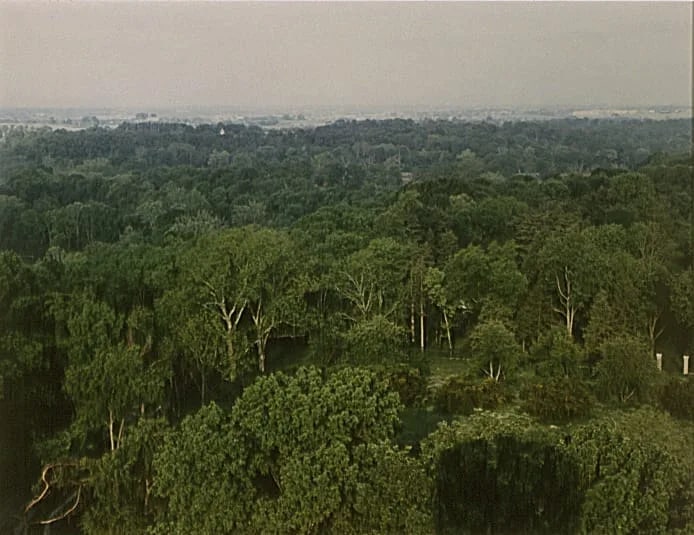 Xalapa Portfolio