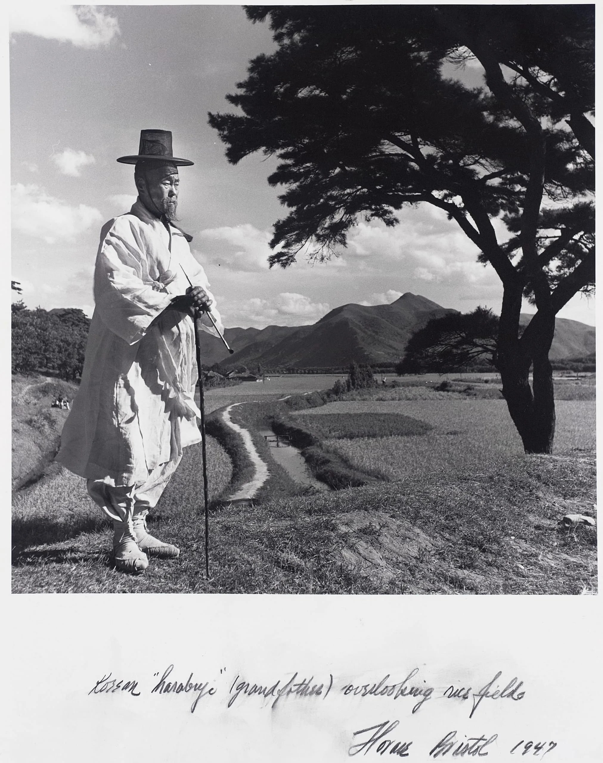 Korean 'harabuje' (grandfather) overlooking Rice Fields